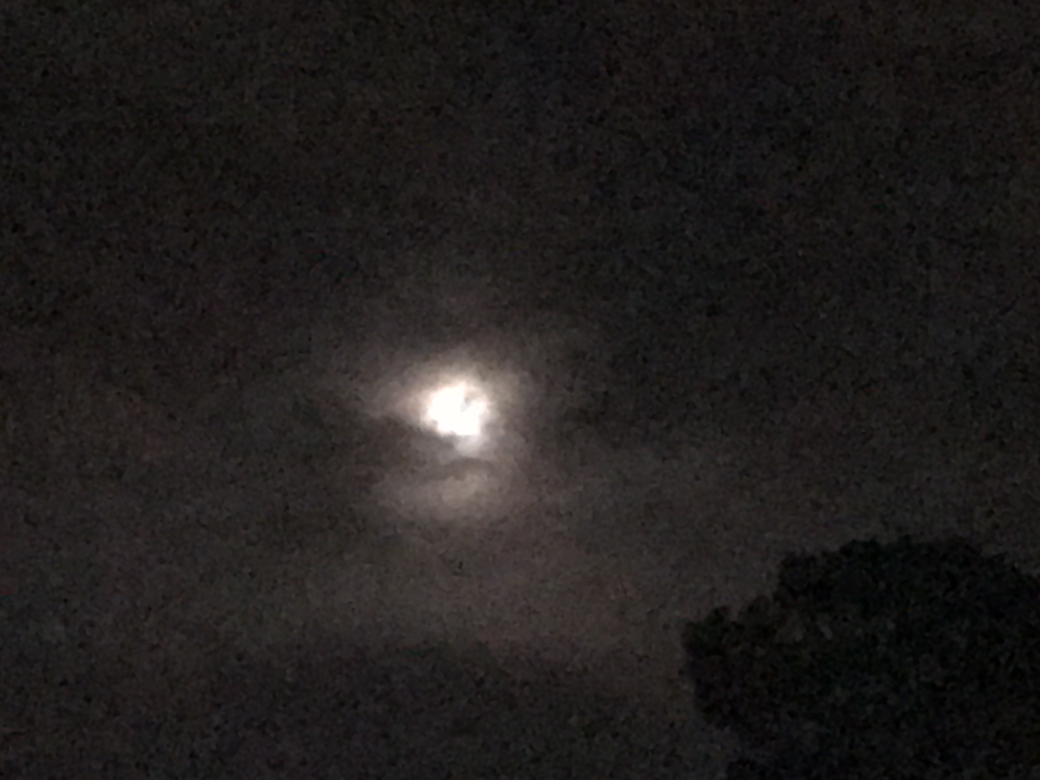 294F5786-27CF-45C3-AB3C-82F9436540AD.jpeg