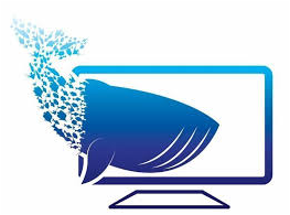 whale.png