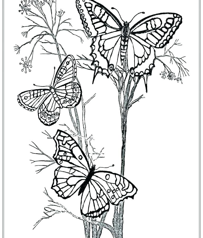 stencil 4.jpg