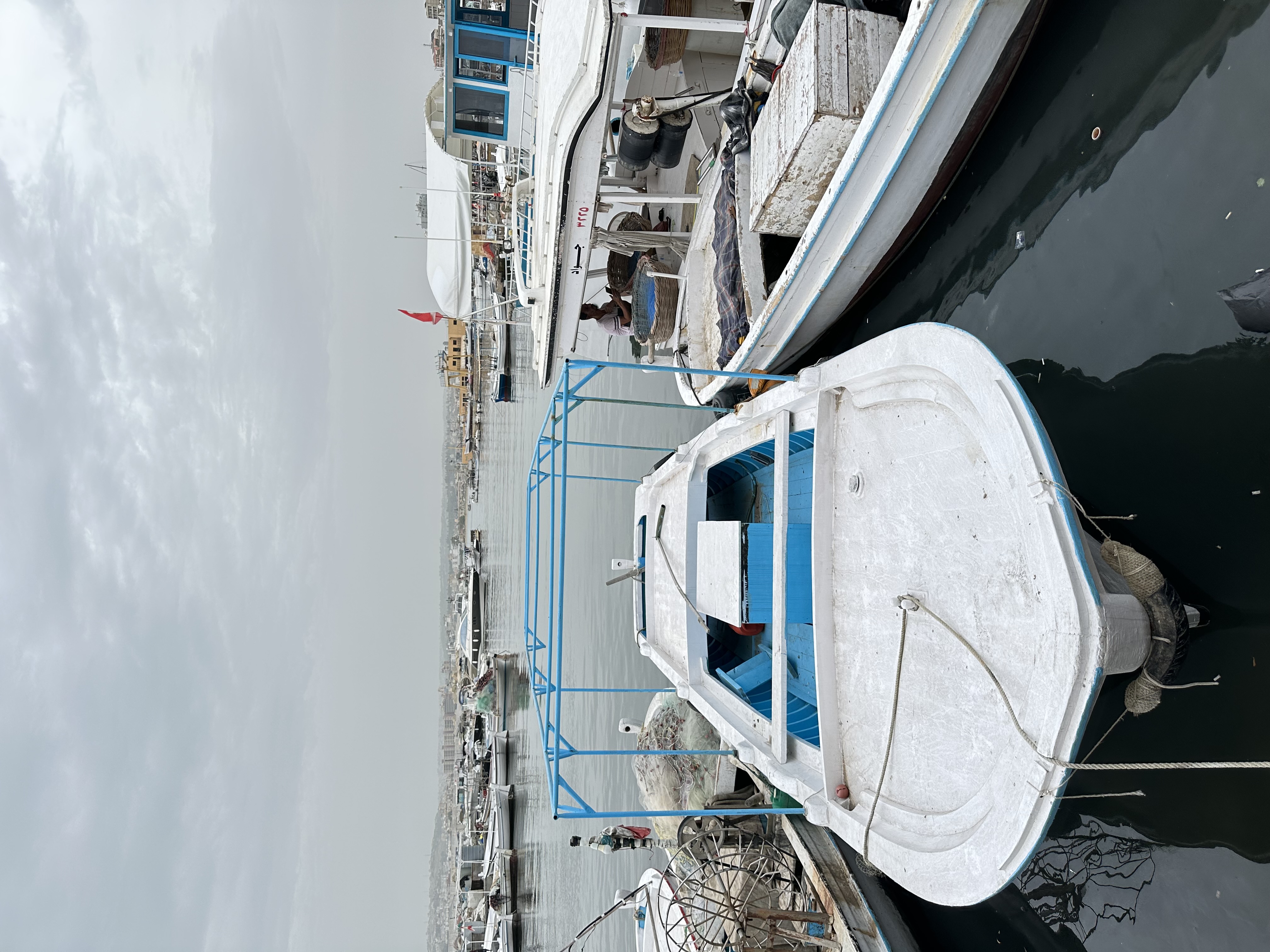 IMG_8420.jpeg