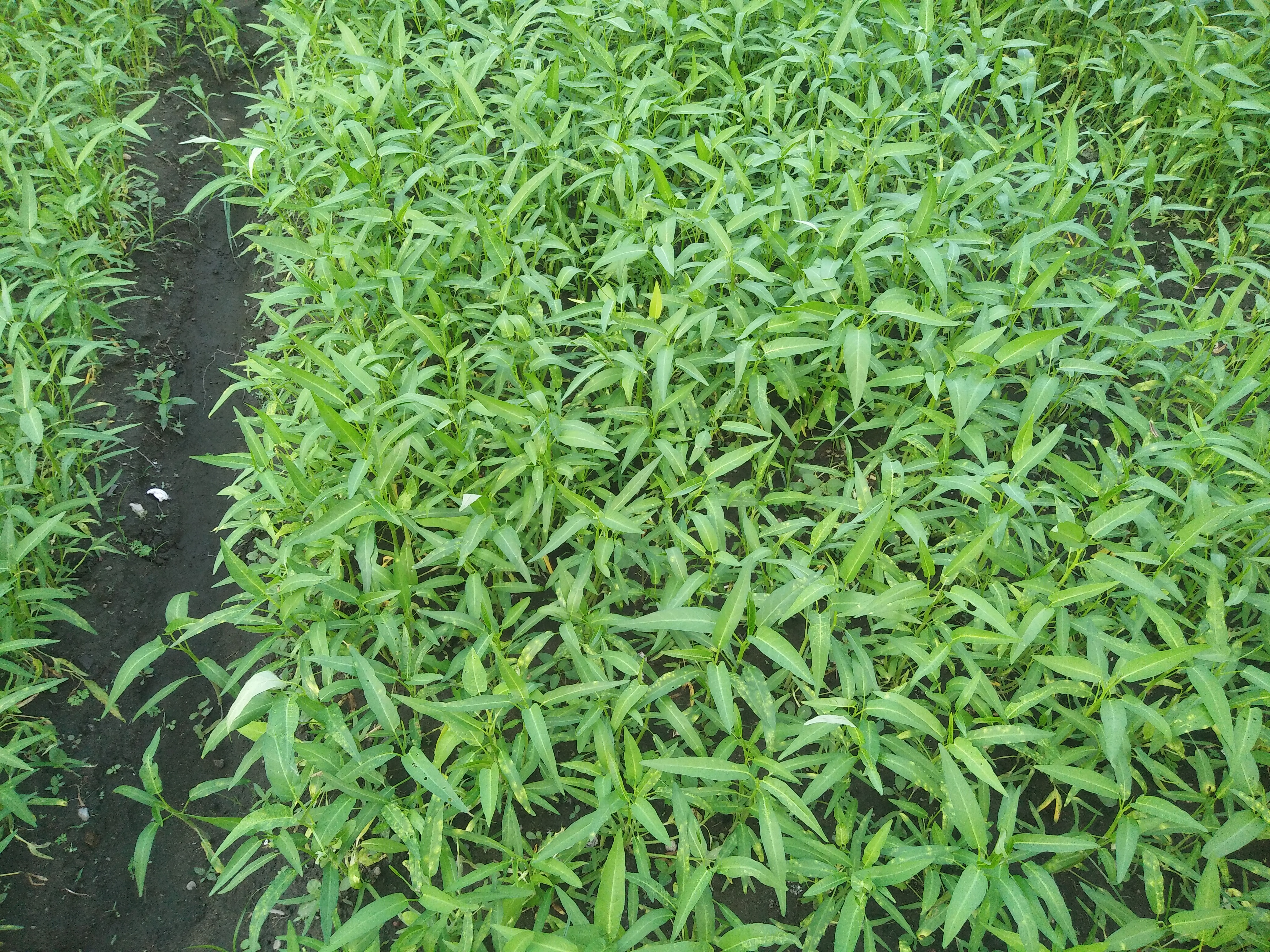 IMG20191204165613.jpg