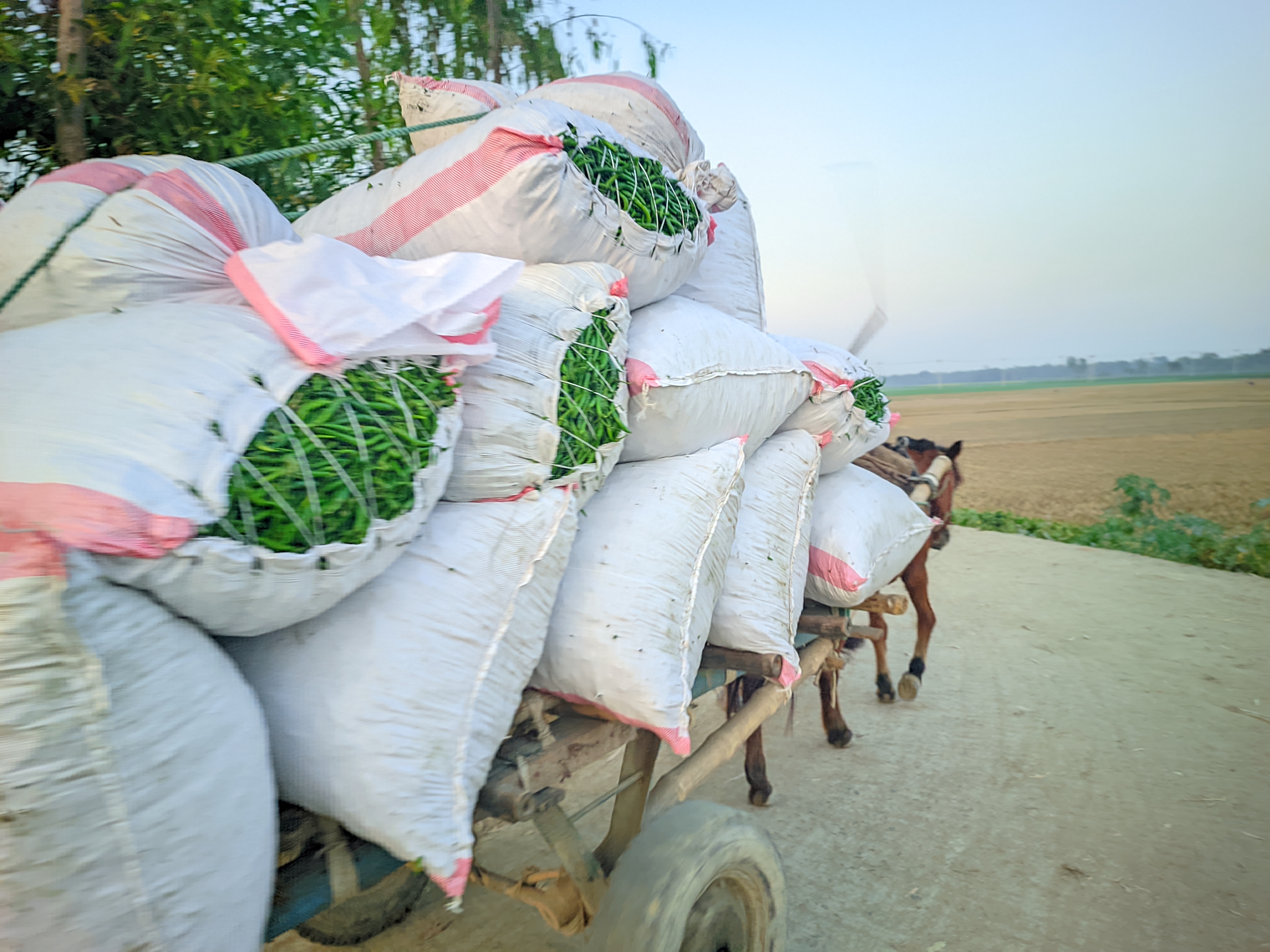 Raju20251215_165258_Vivid Human Portrait By Light Editz (2).jpg