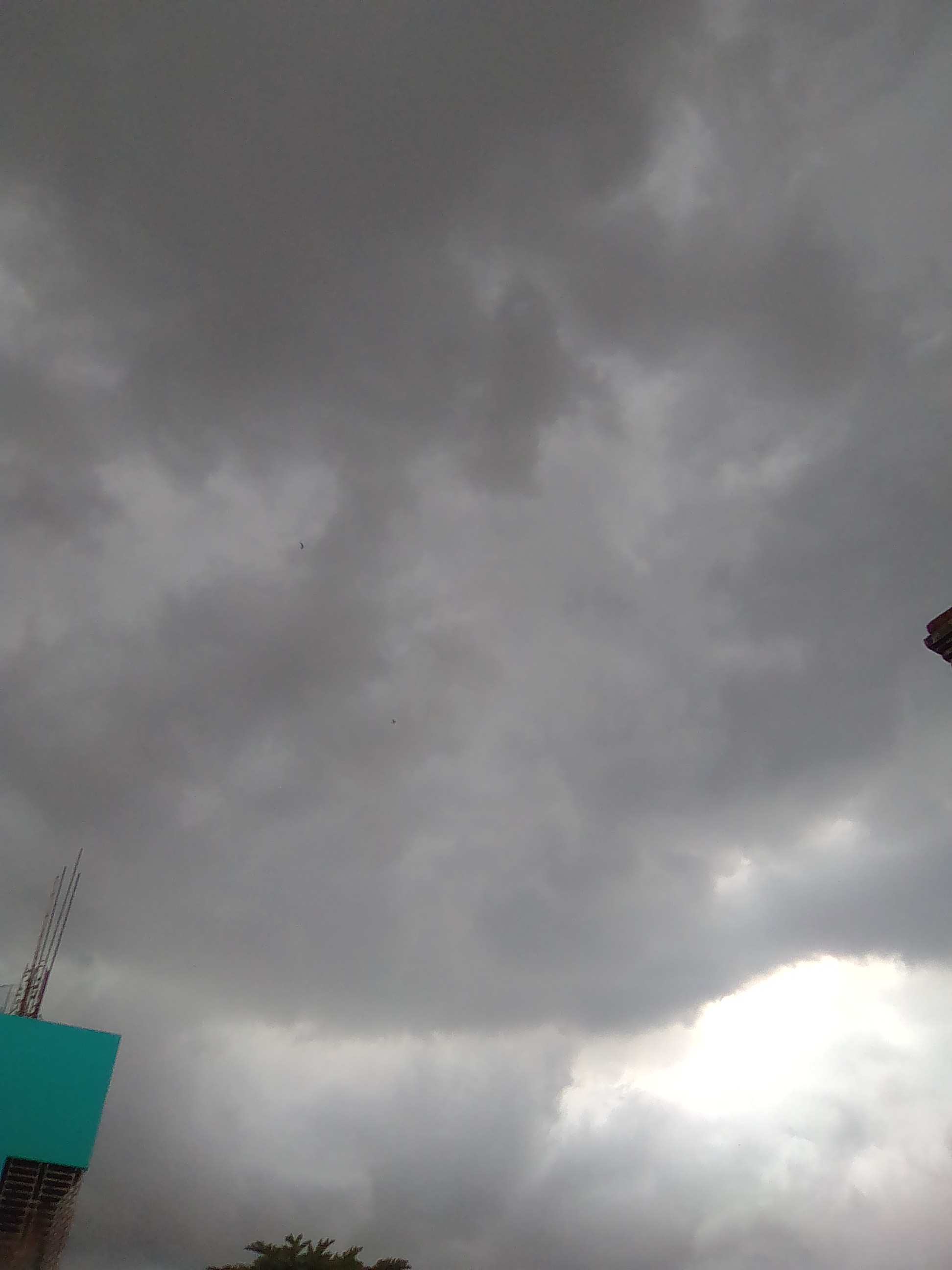 IMG_20210520_162702.jpg