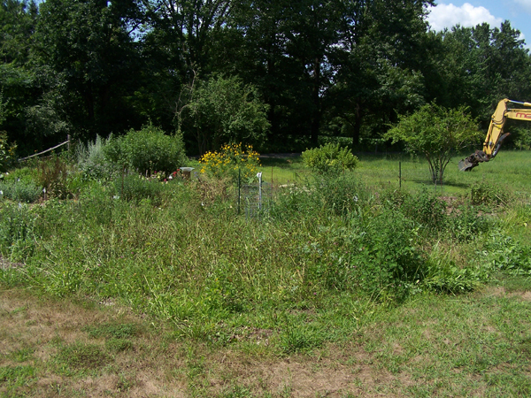 New Herb - fence moved crop July 2019.jpg