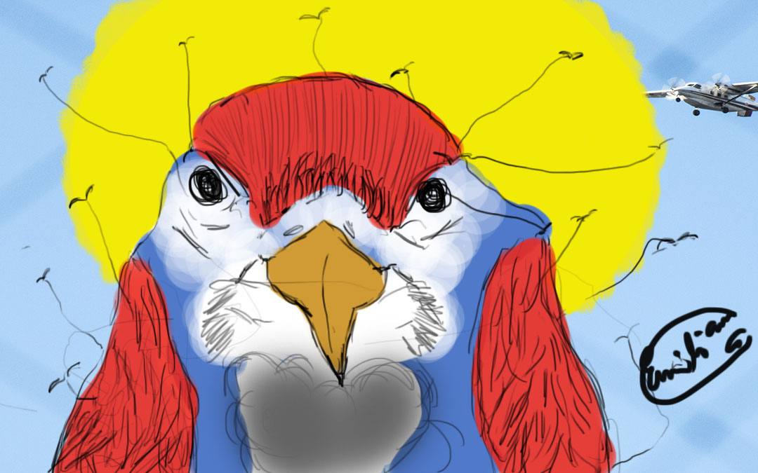 pajaro%202.jpg