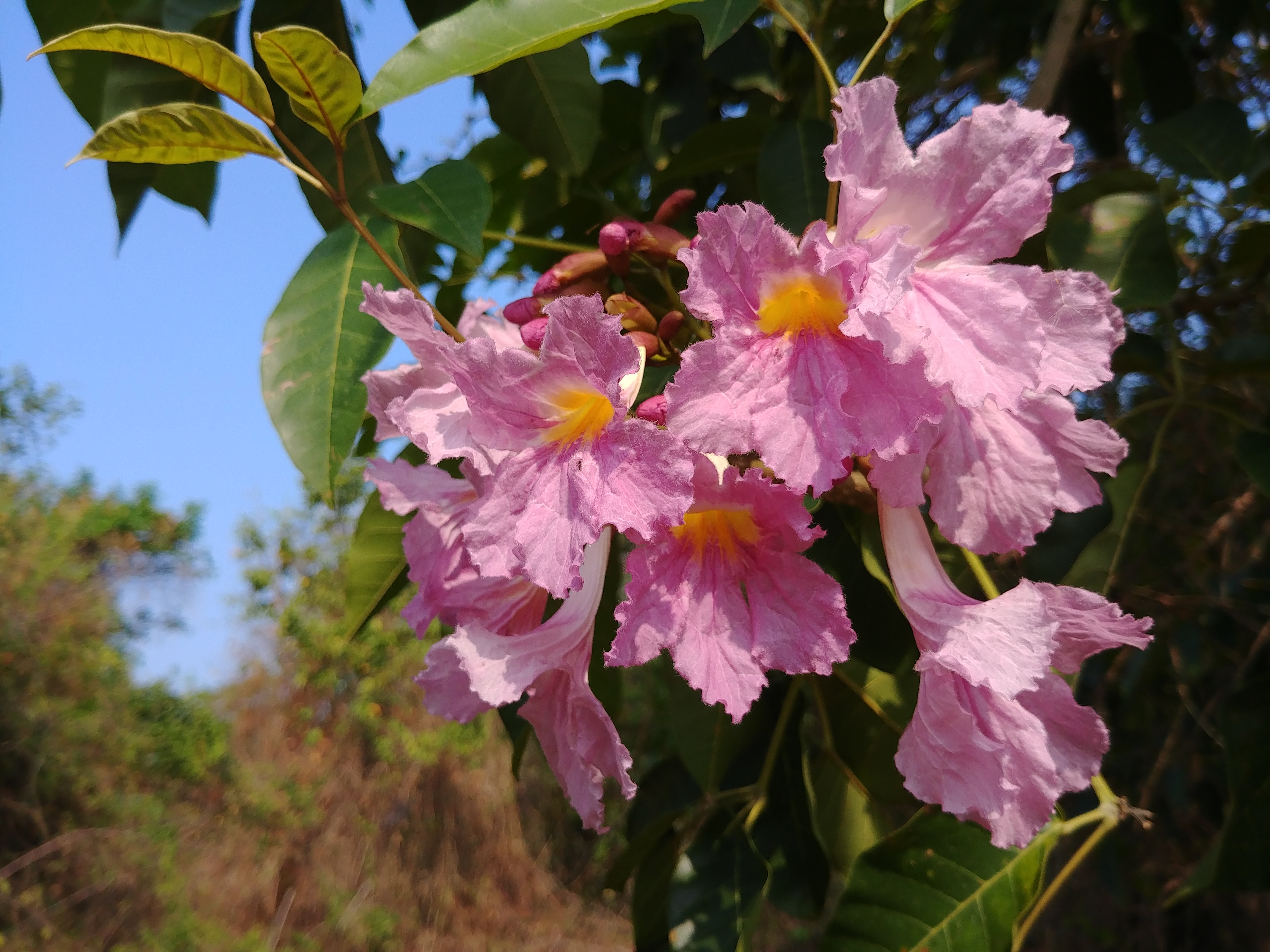 20180327_093507.jpg