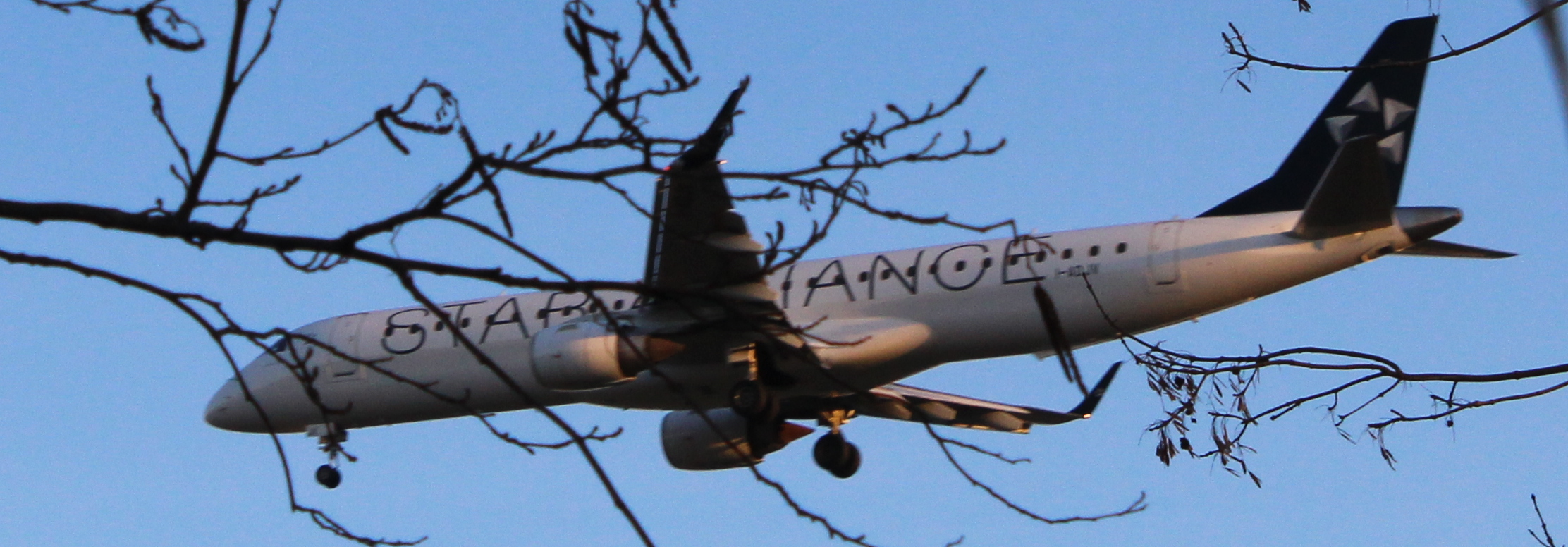 staralliance.png