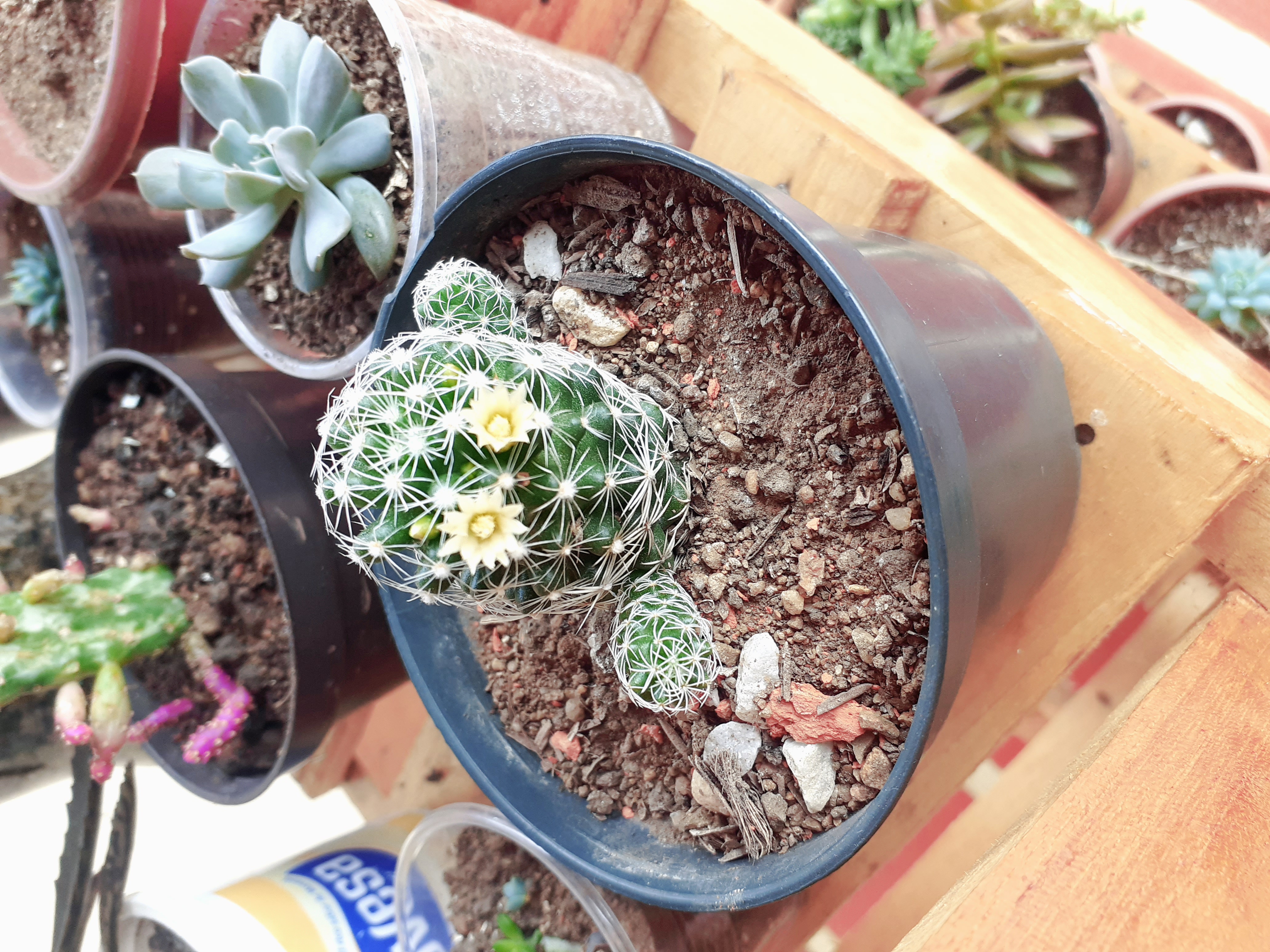 20210801_122624 (1).jpg