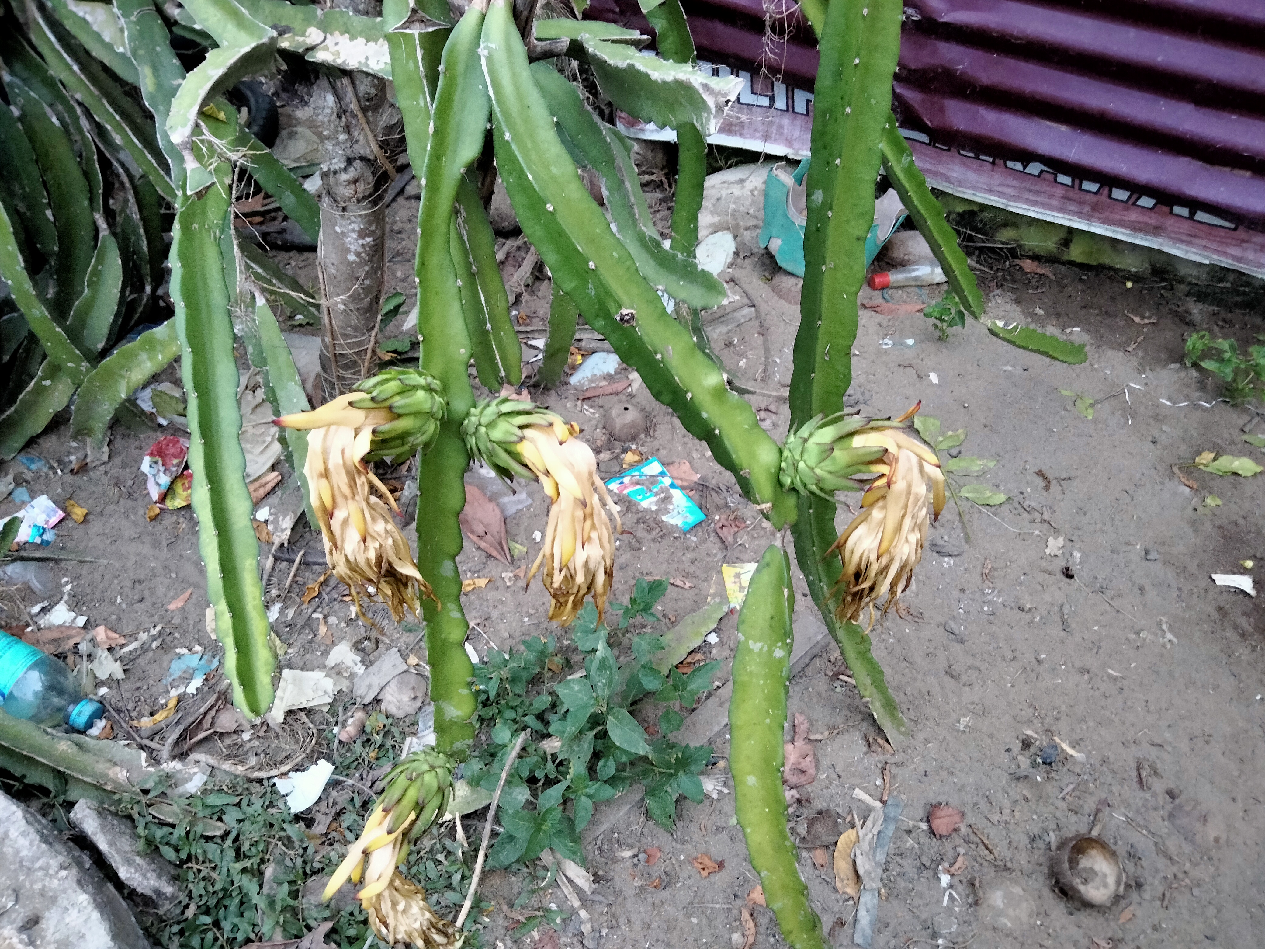 IMG20260713184154.jpg