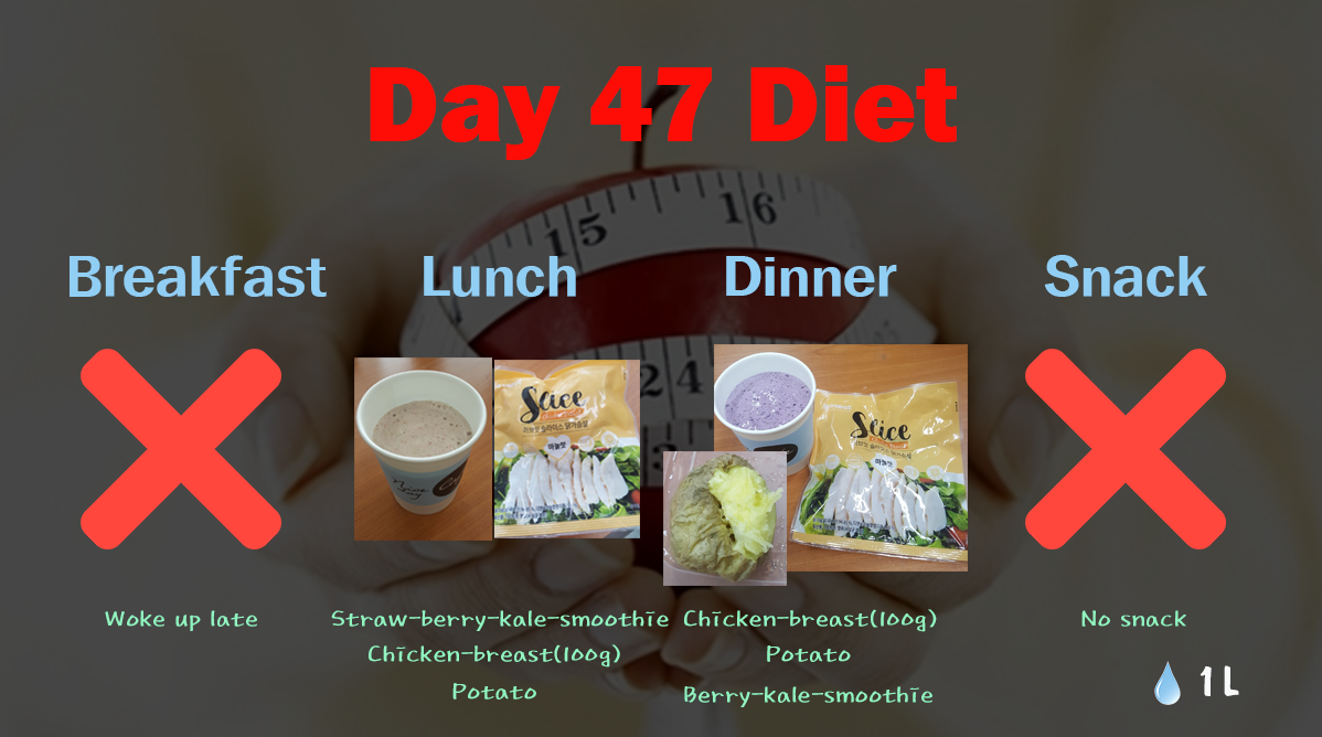 Day47 (식단).png