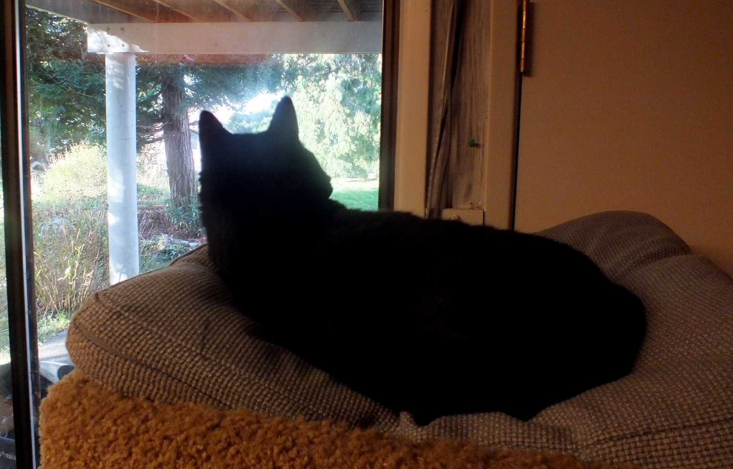 CC0162-Pillow1.jpg