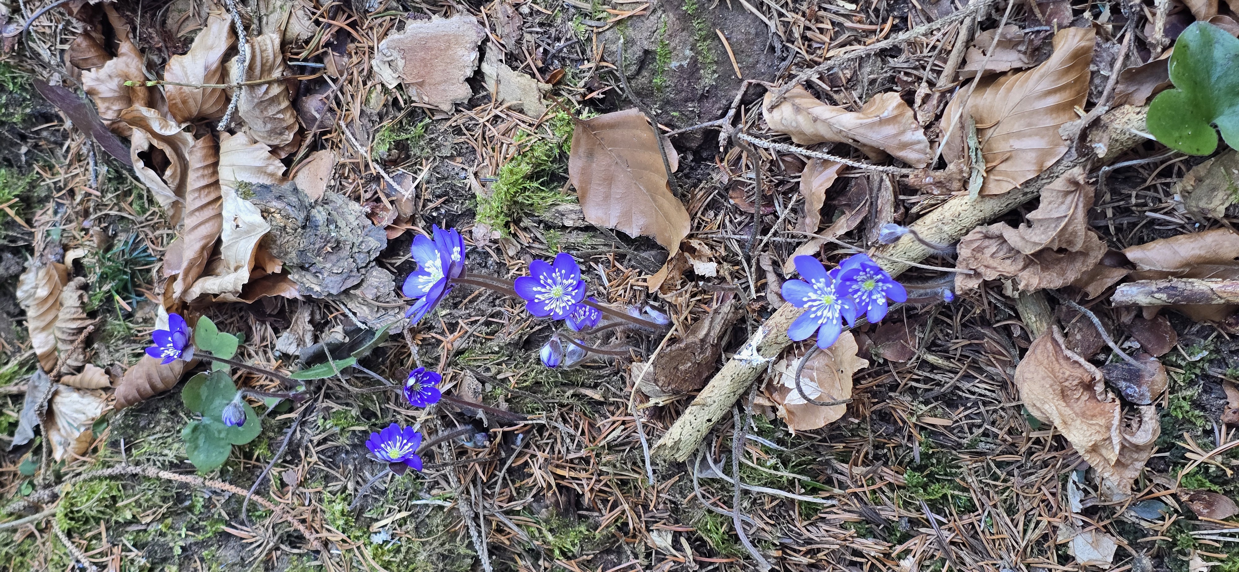 20260308_154412.jpg
