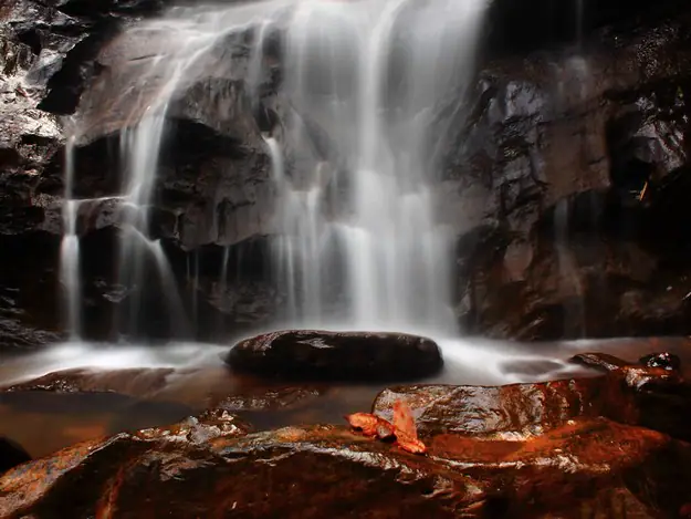 agumbe.webp