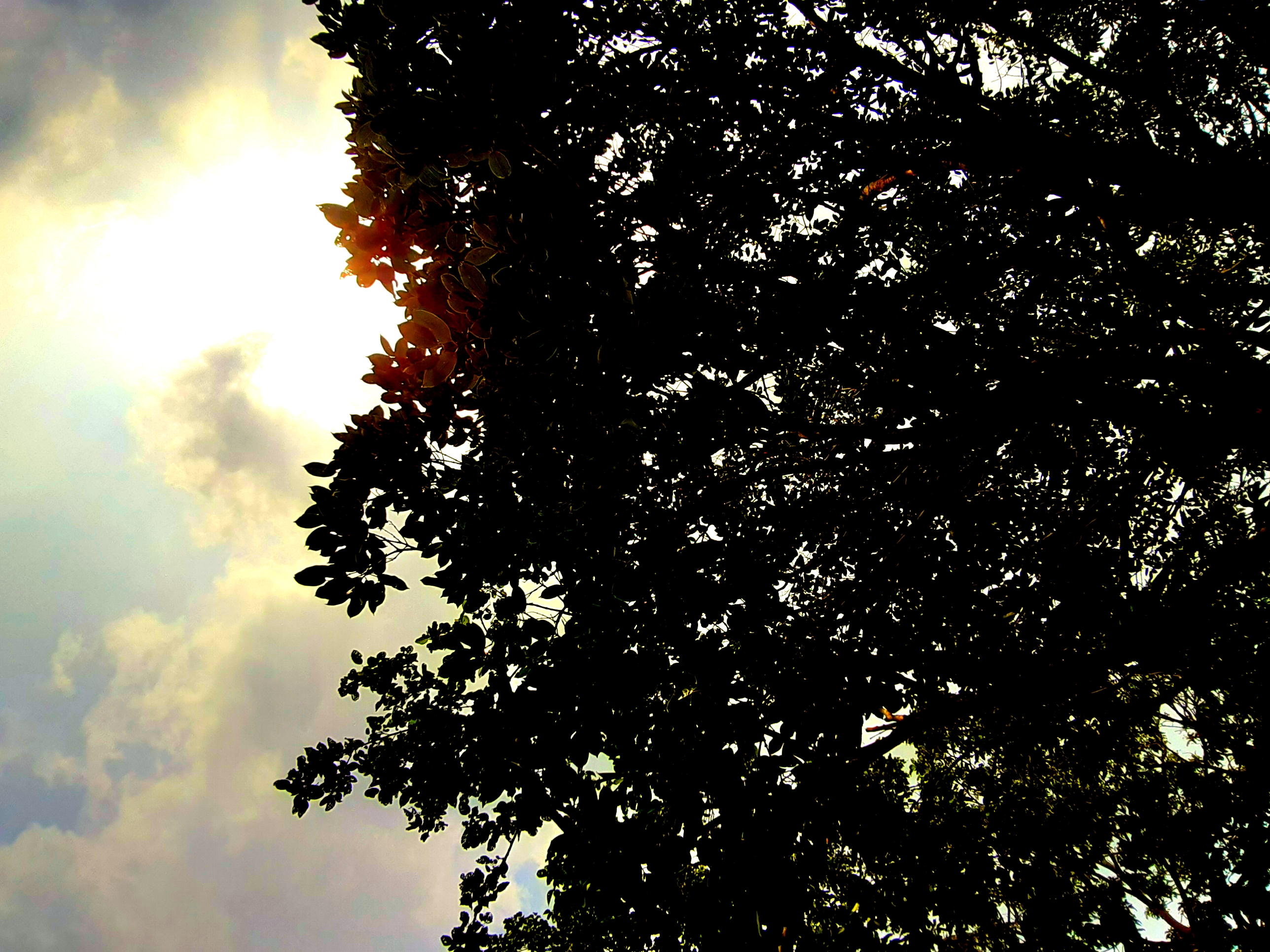 20210706_155906.jpg
