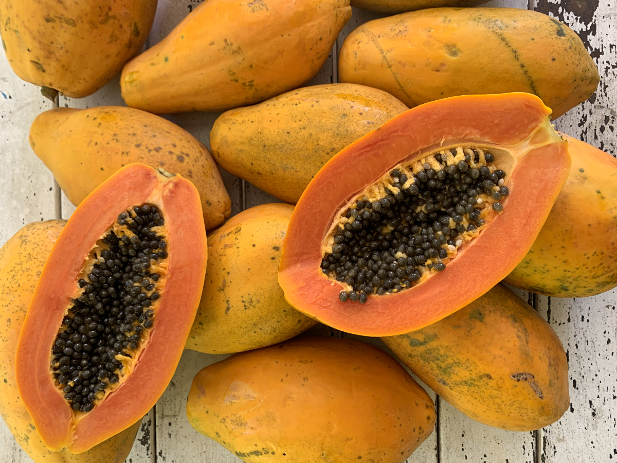 Papaya Steemit.jpg