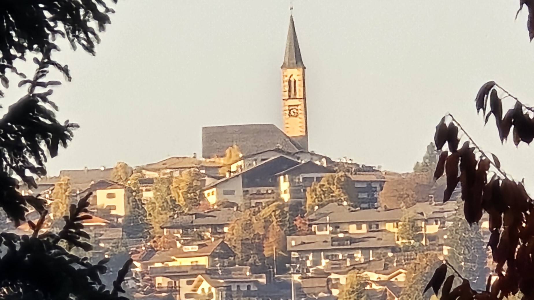20251014_171927.jpg