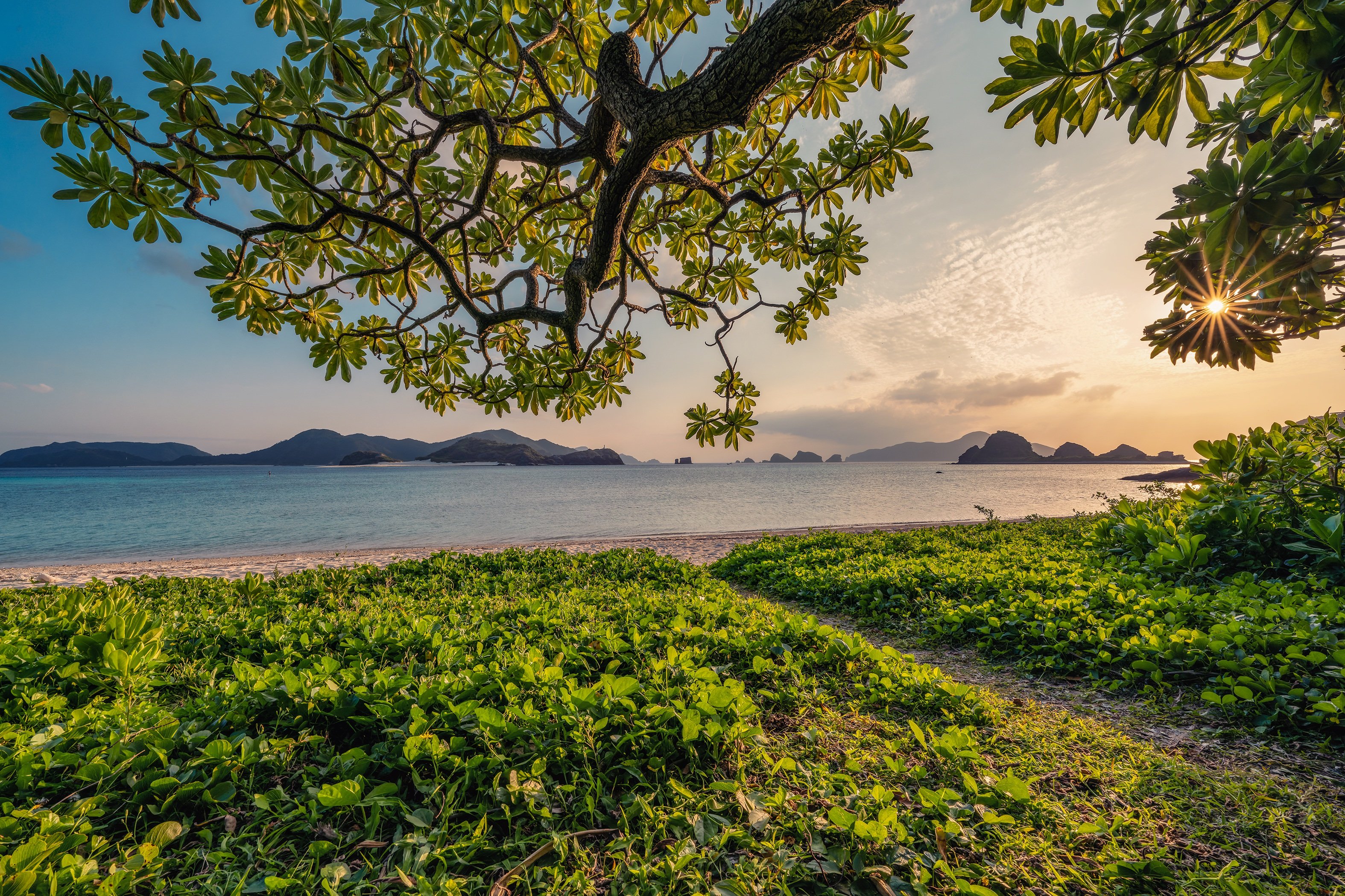 kanenori-sunset-7133867.jpg