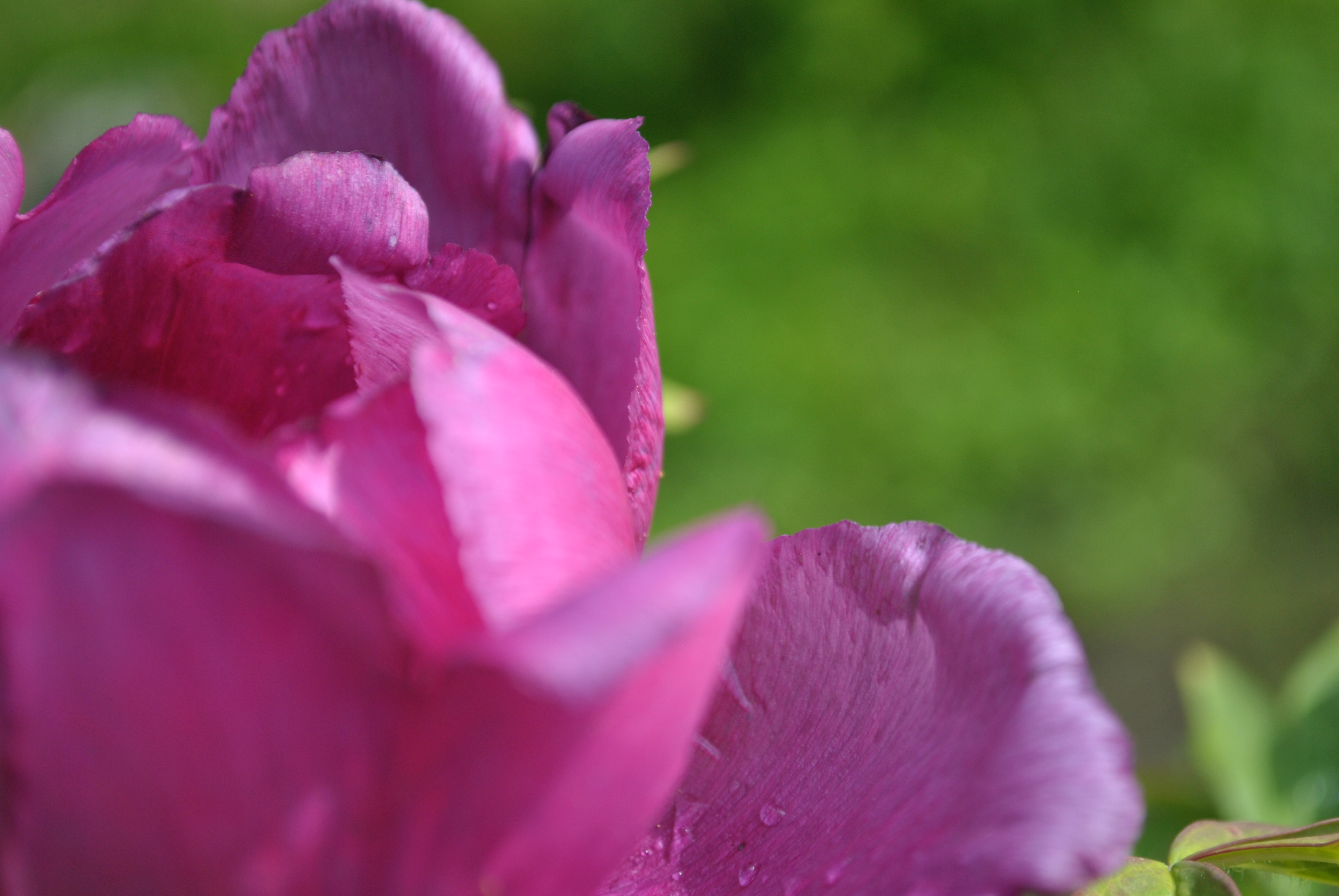DSC_0900.JPG