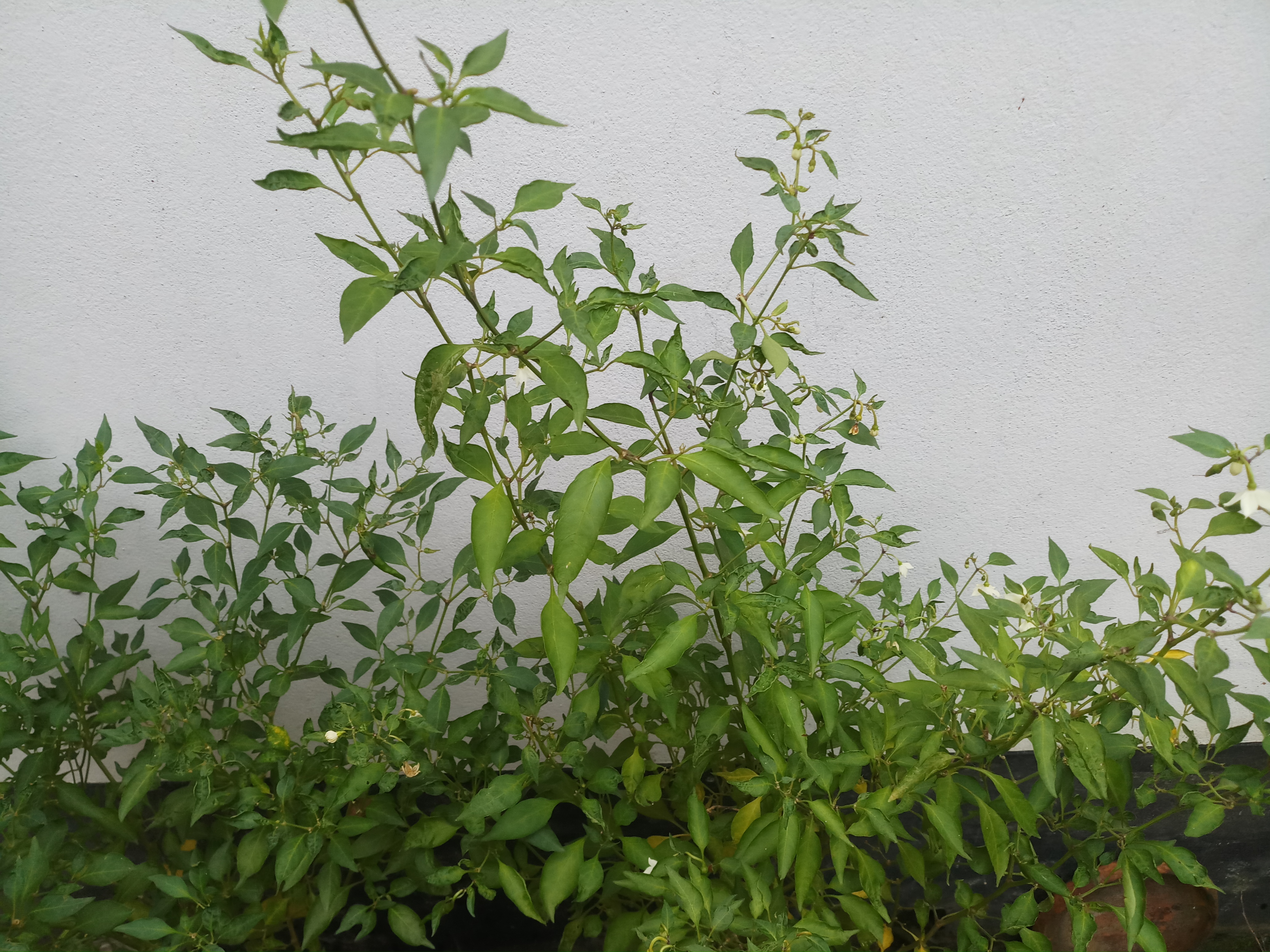 20191004_150037.jpg