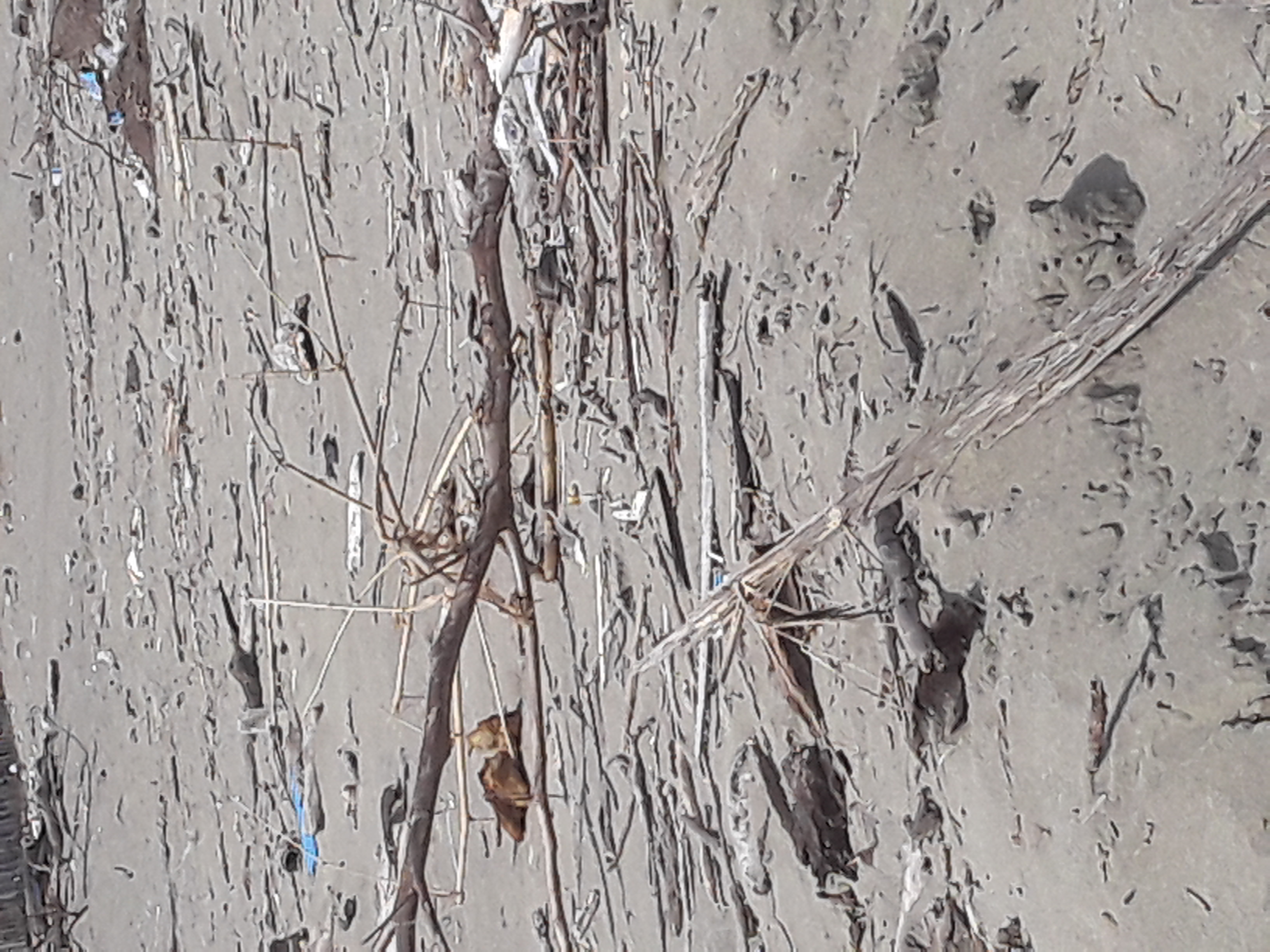20220315_103822.jpg