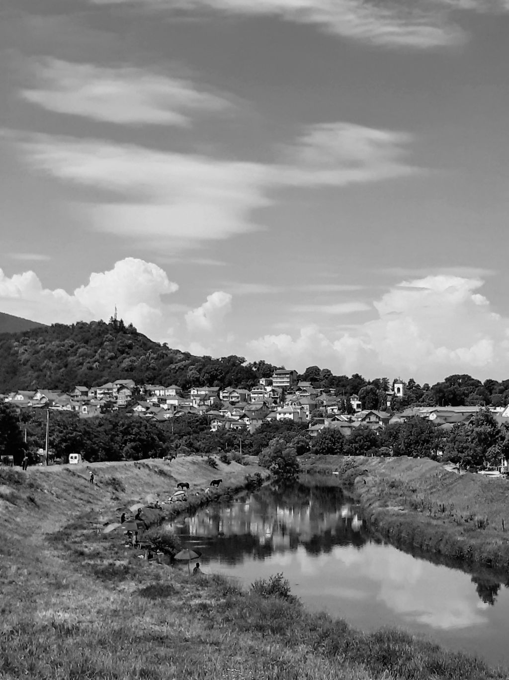 20210606_103315_bw.jpg