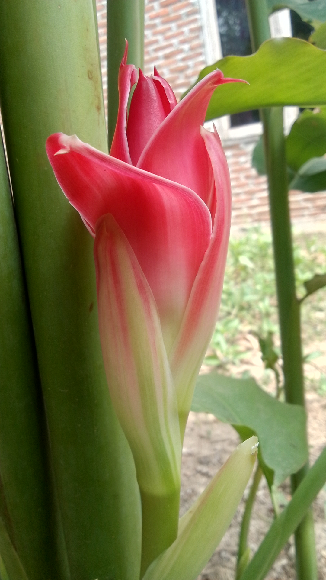 IMG_20240414_113613_HDR.jpg