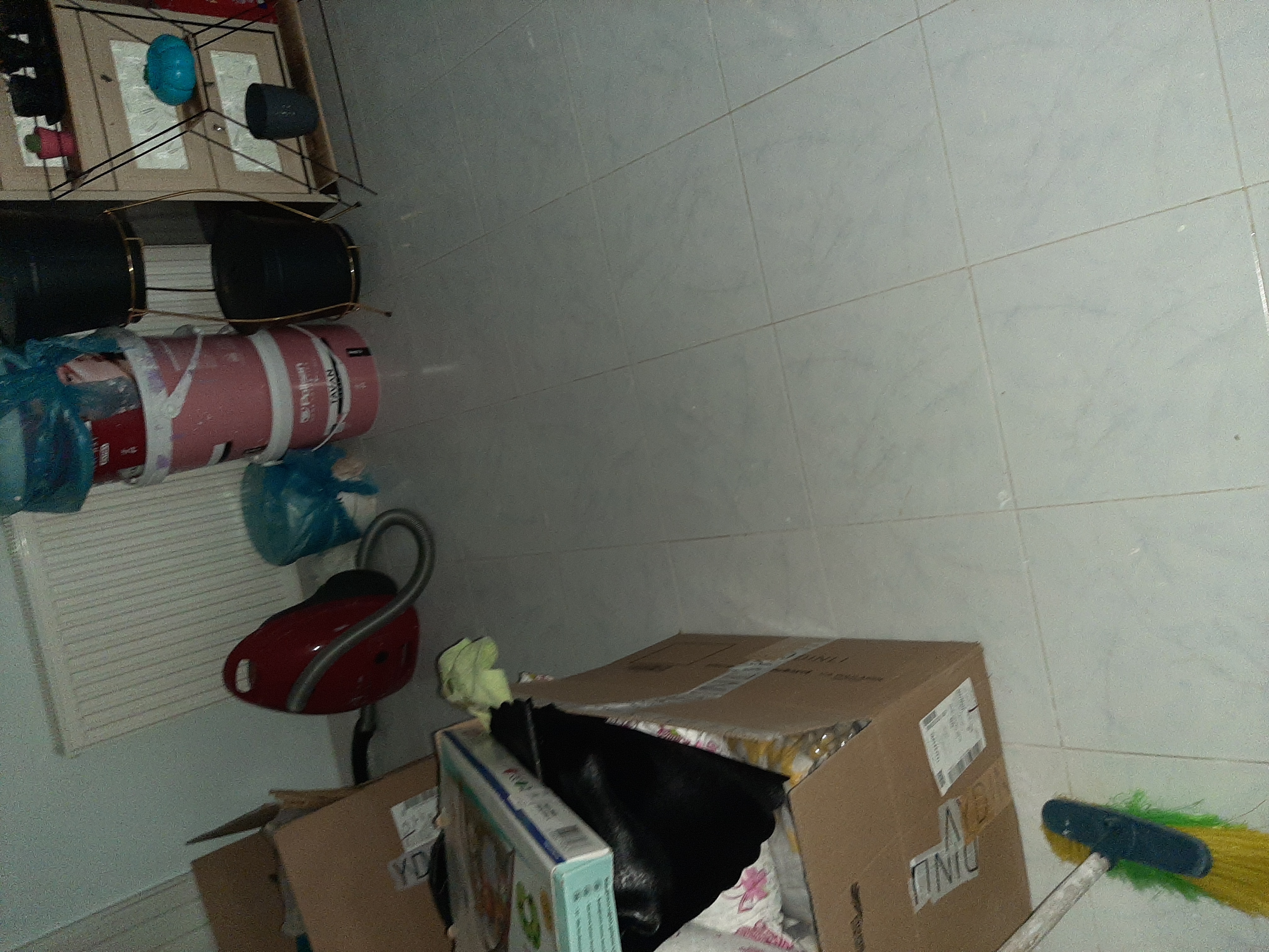 20220629_182516.jpg