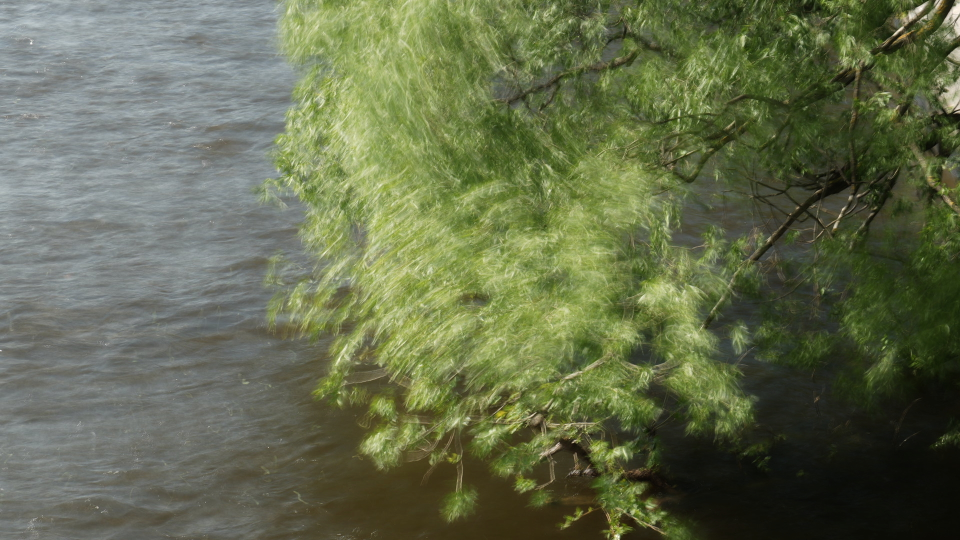 DSC05704.jpg