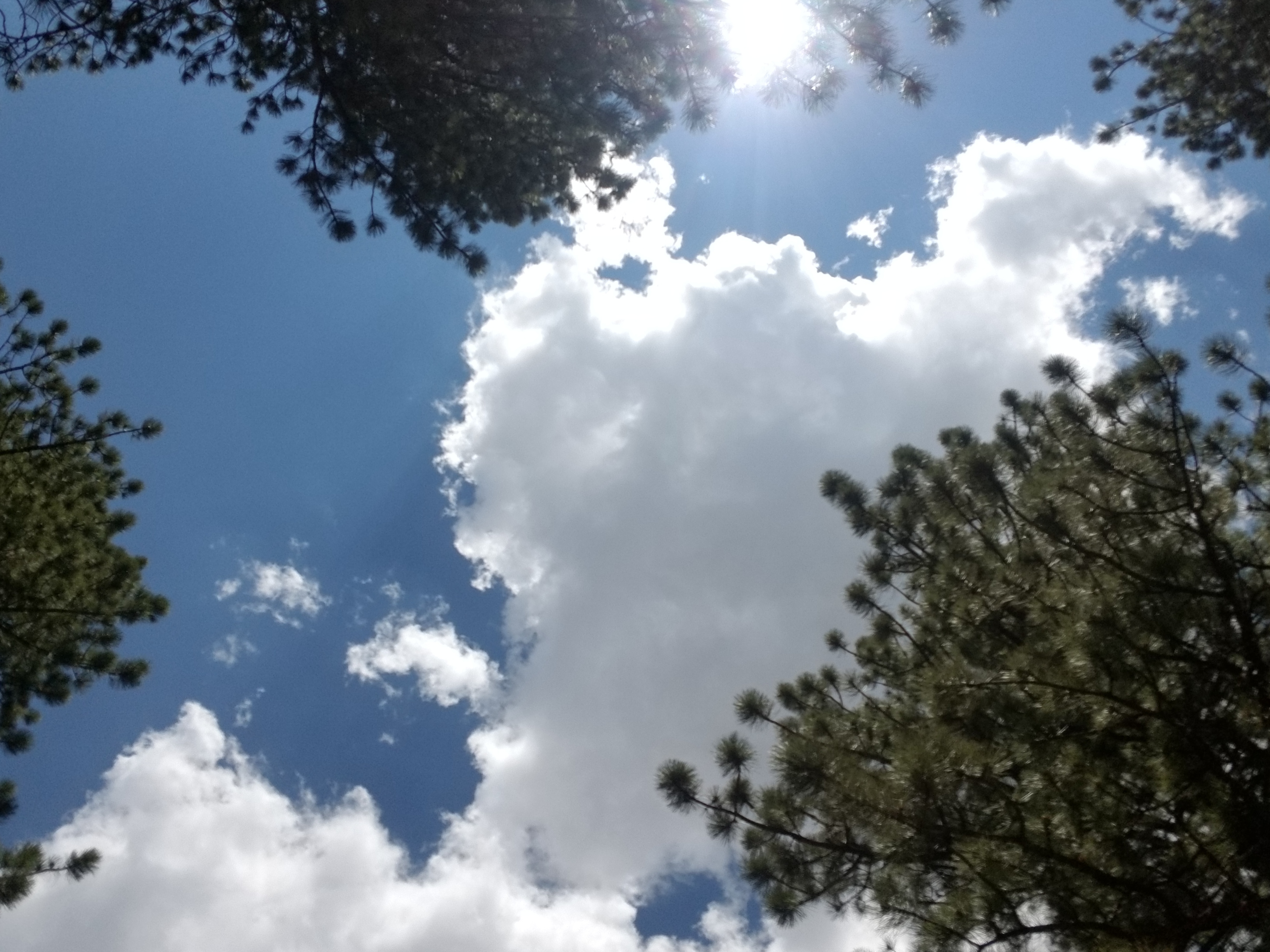 20180710_115143.jpg