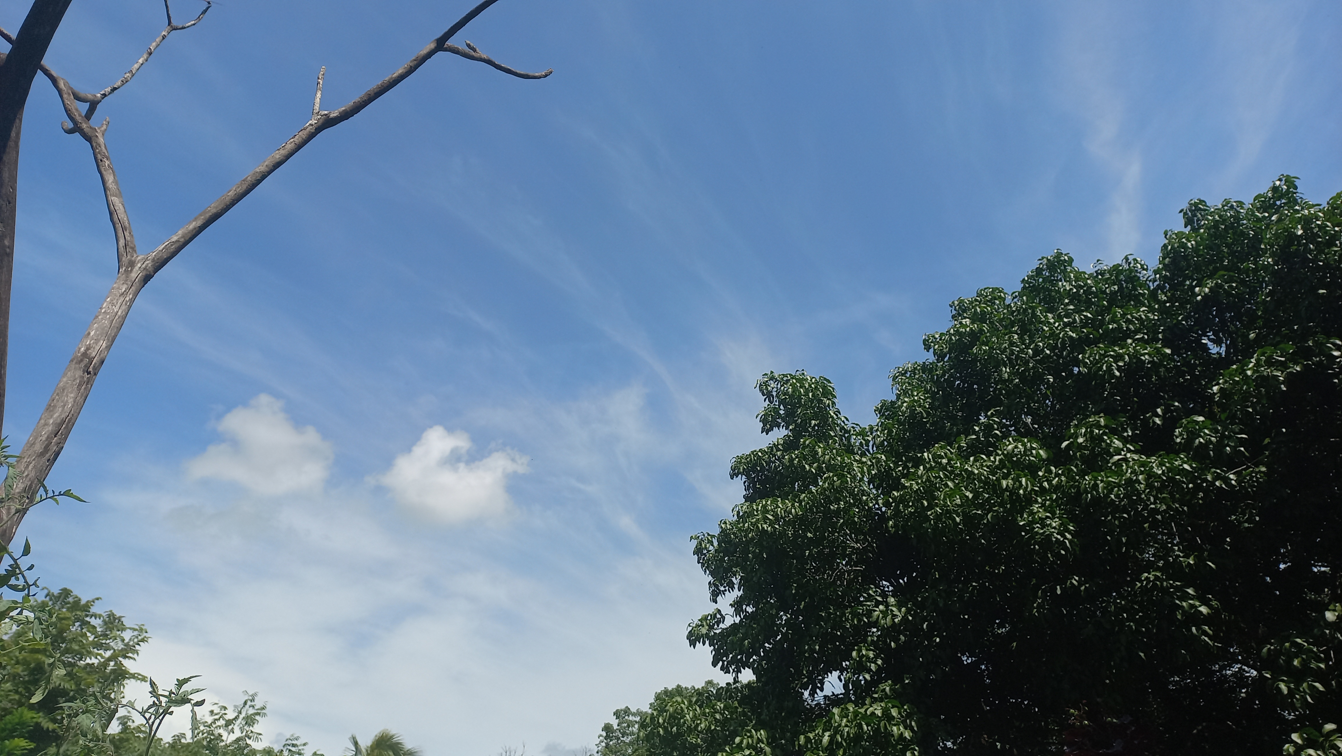 20230803_134127.jpg