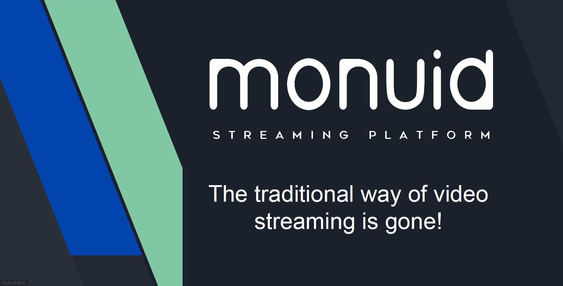 Monvid-Banner.jpg