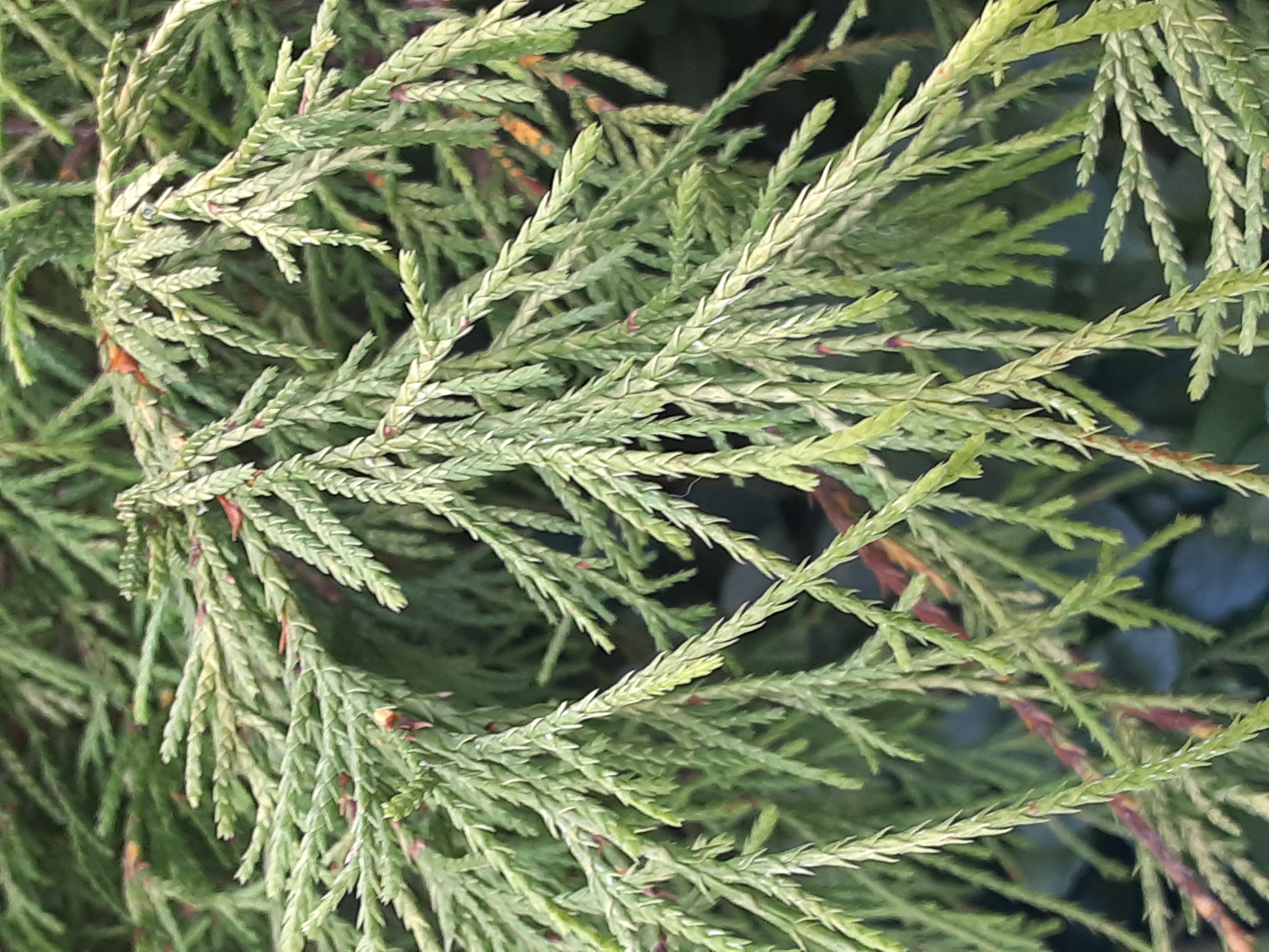 20241112_084135.jpg