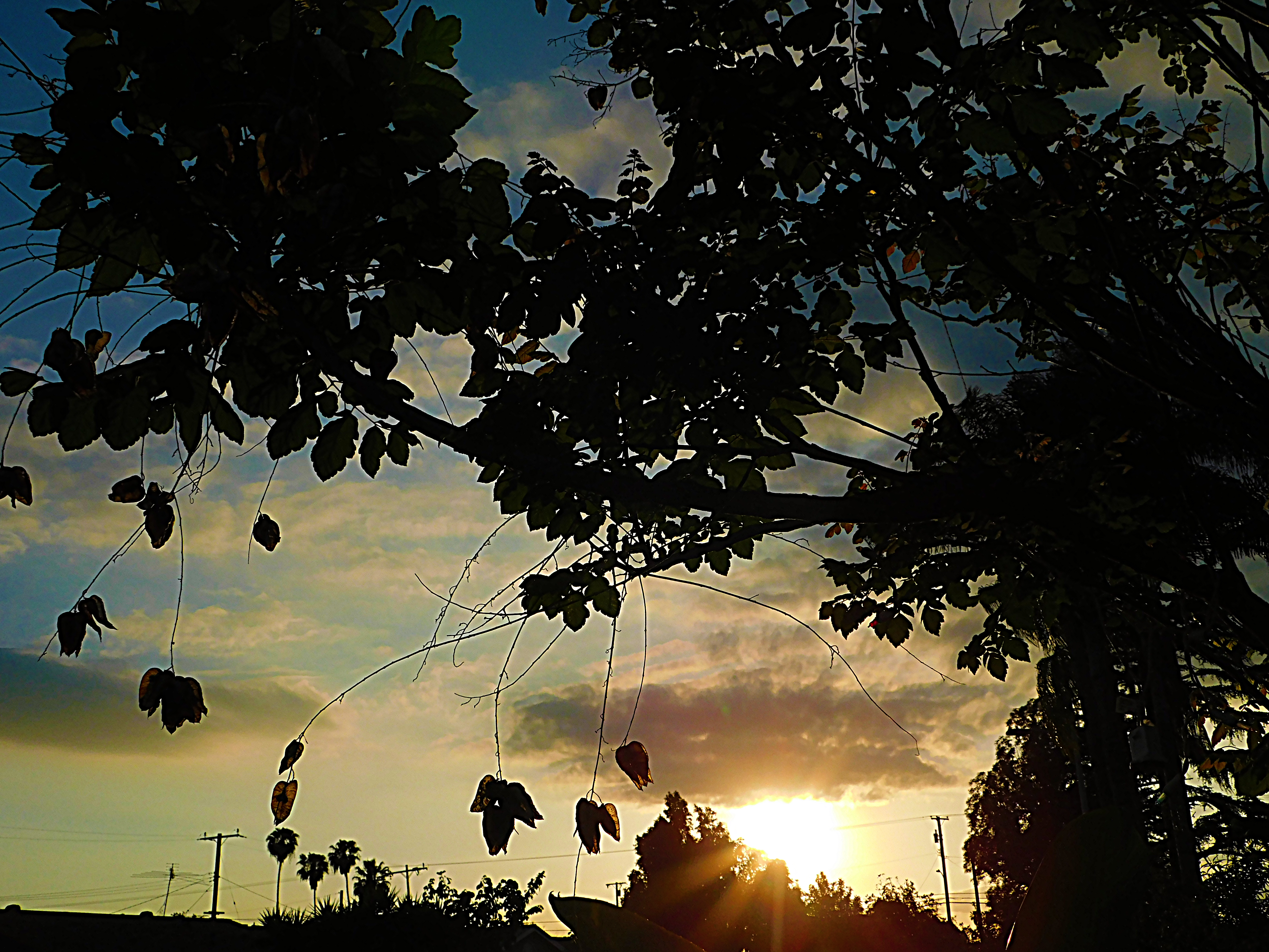 sunsets of paradise, photography, jeronimo rubio, 2018, all rights reserved, nature (362).JPG