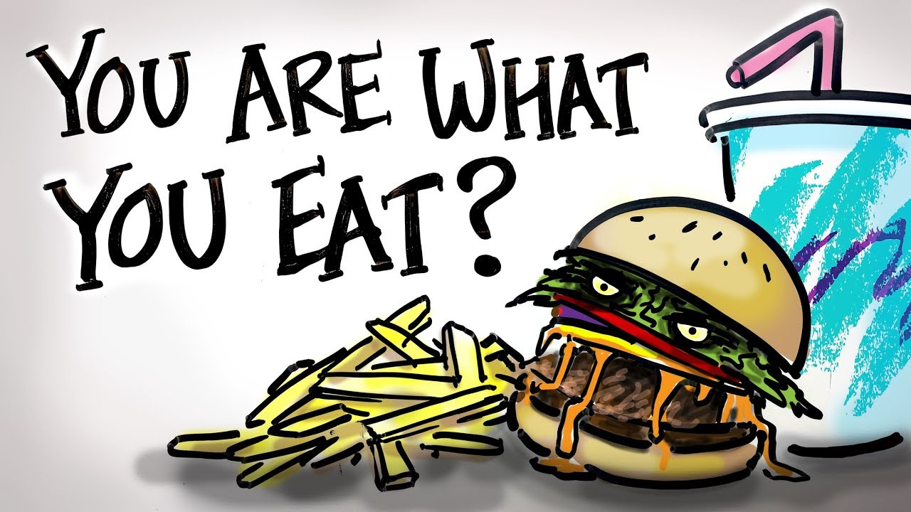 You are what you eat. You are what you eat картинки. You are what you eat проект. Проект по английскому you are what you eat.