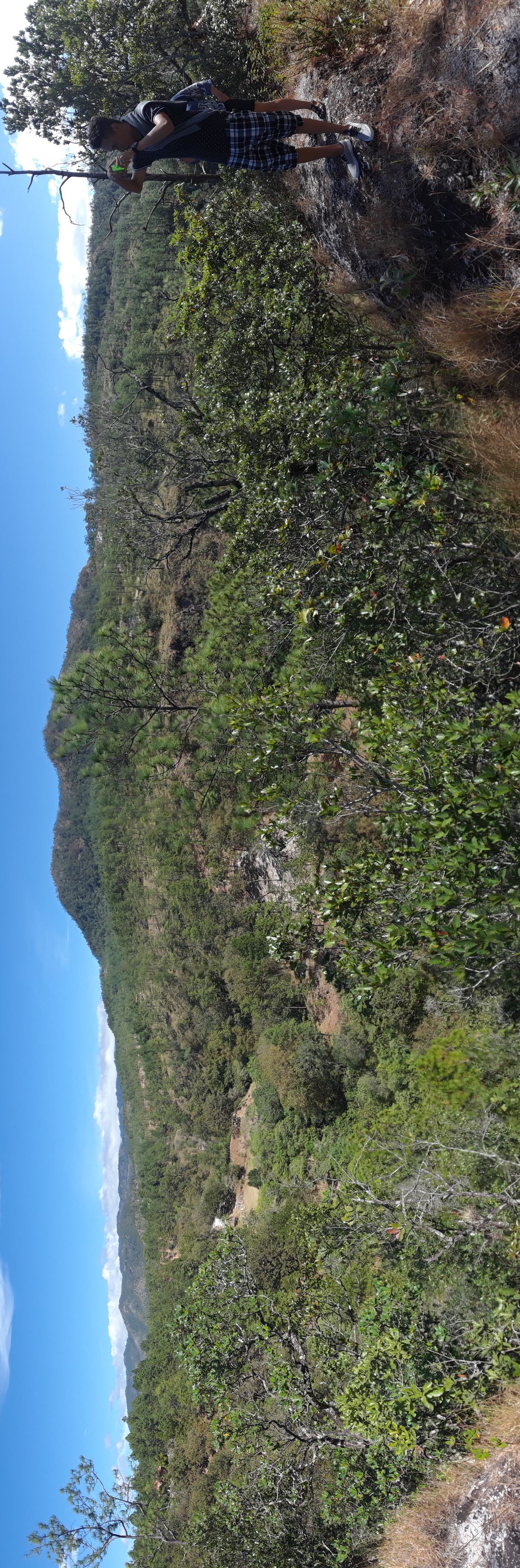 20180101_112231.jpg