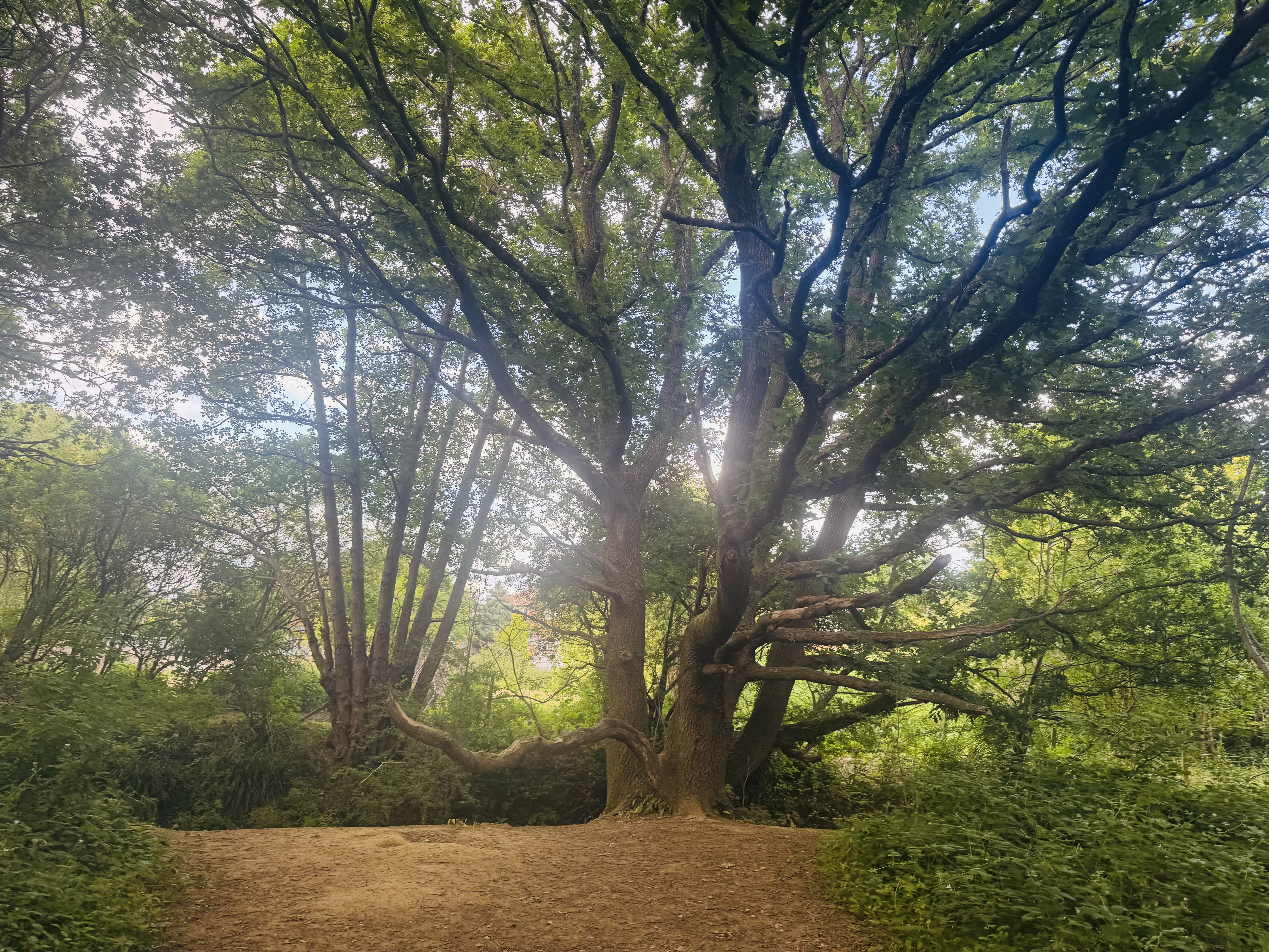 IMG_3353.jpeg