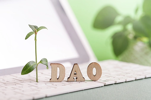 istockphoto-1357534596-170667a (1).webp