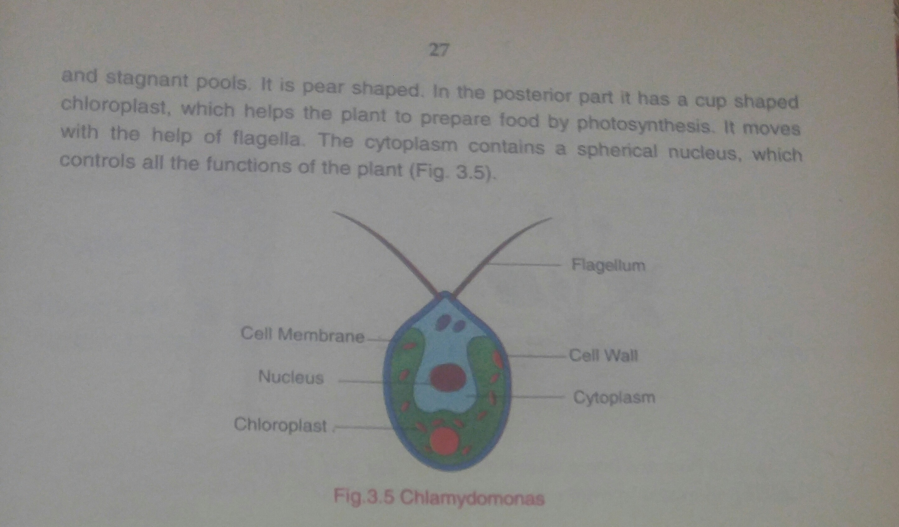 20180915_201236-1.jpg