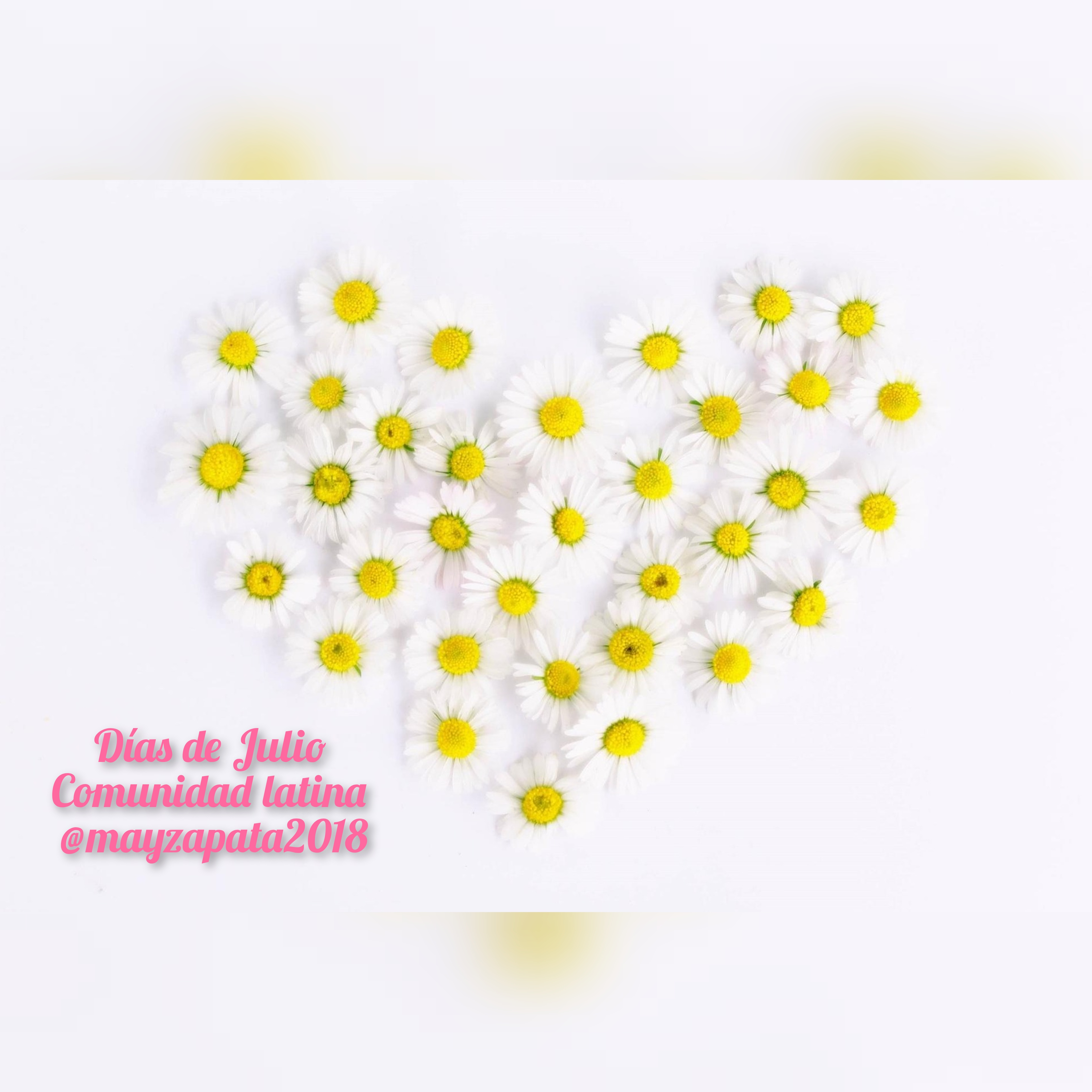 1000600180.jpg