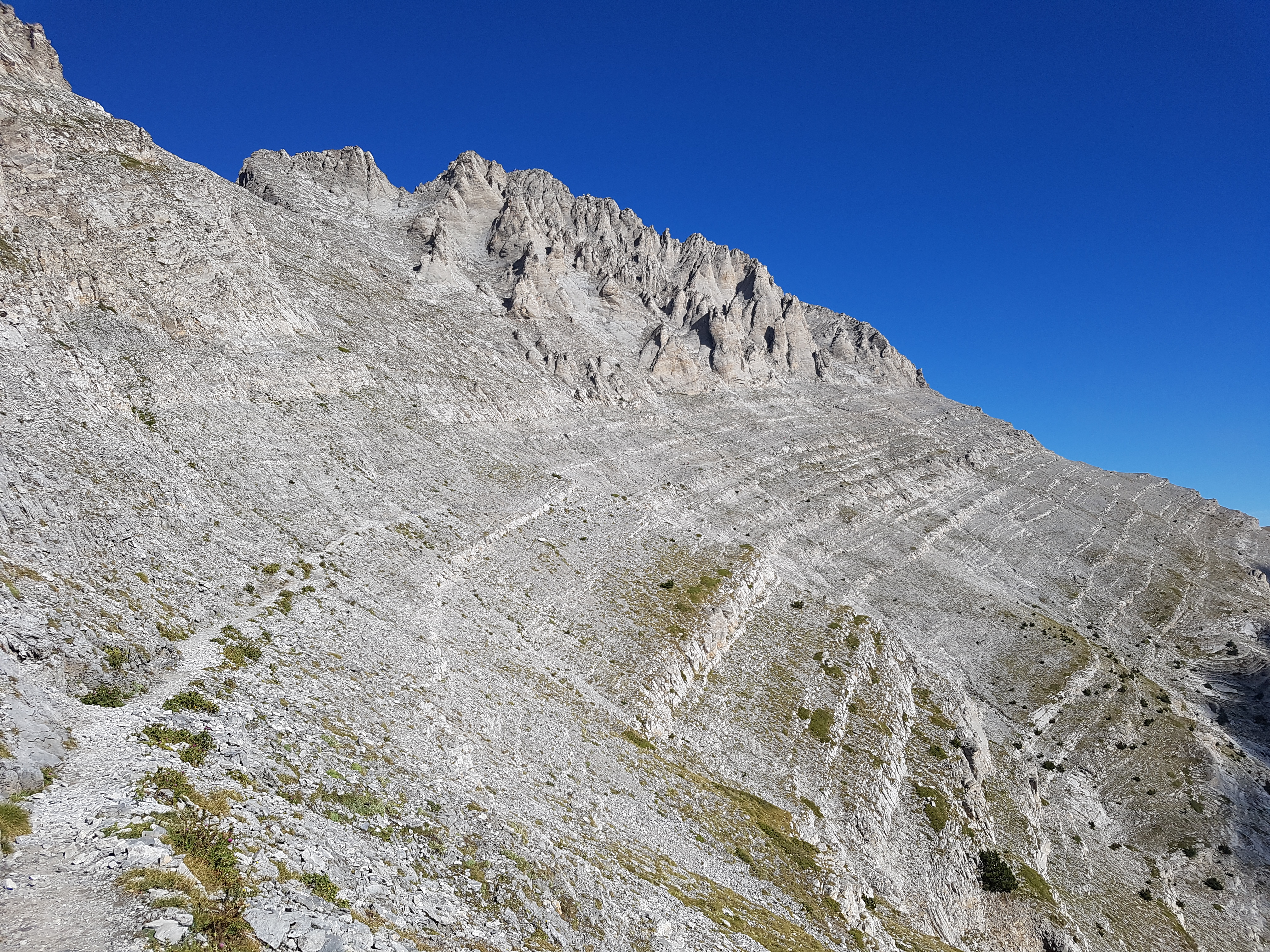 20180915_095931.jpg