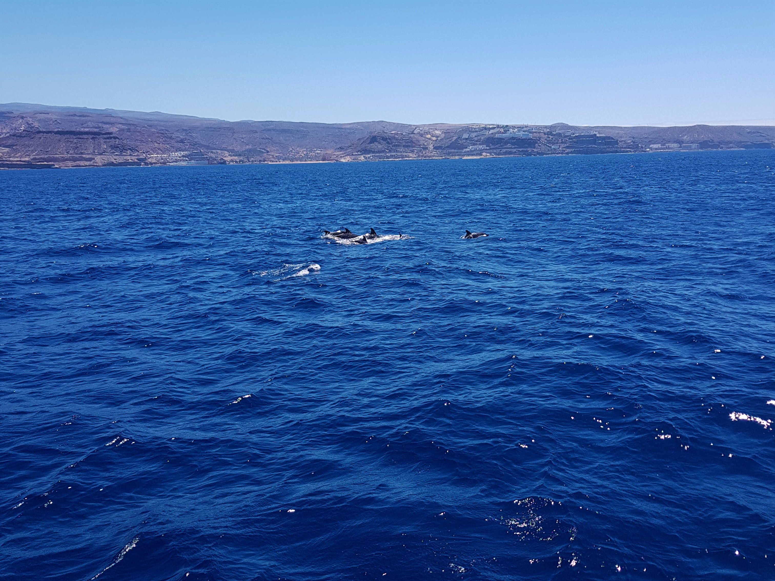 20180603_134014.jpg