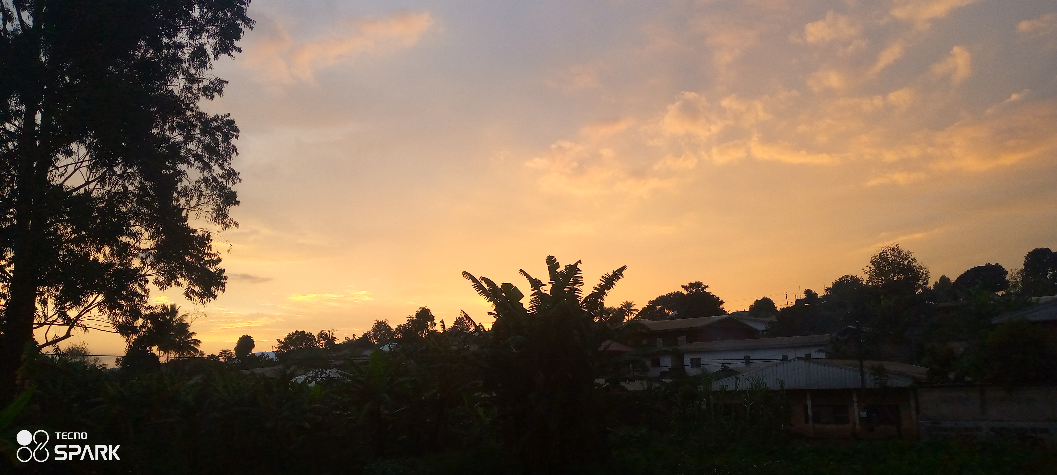IMG_20211021_175746_241.jpg