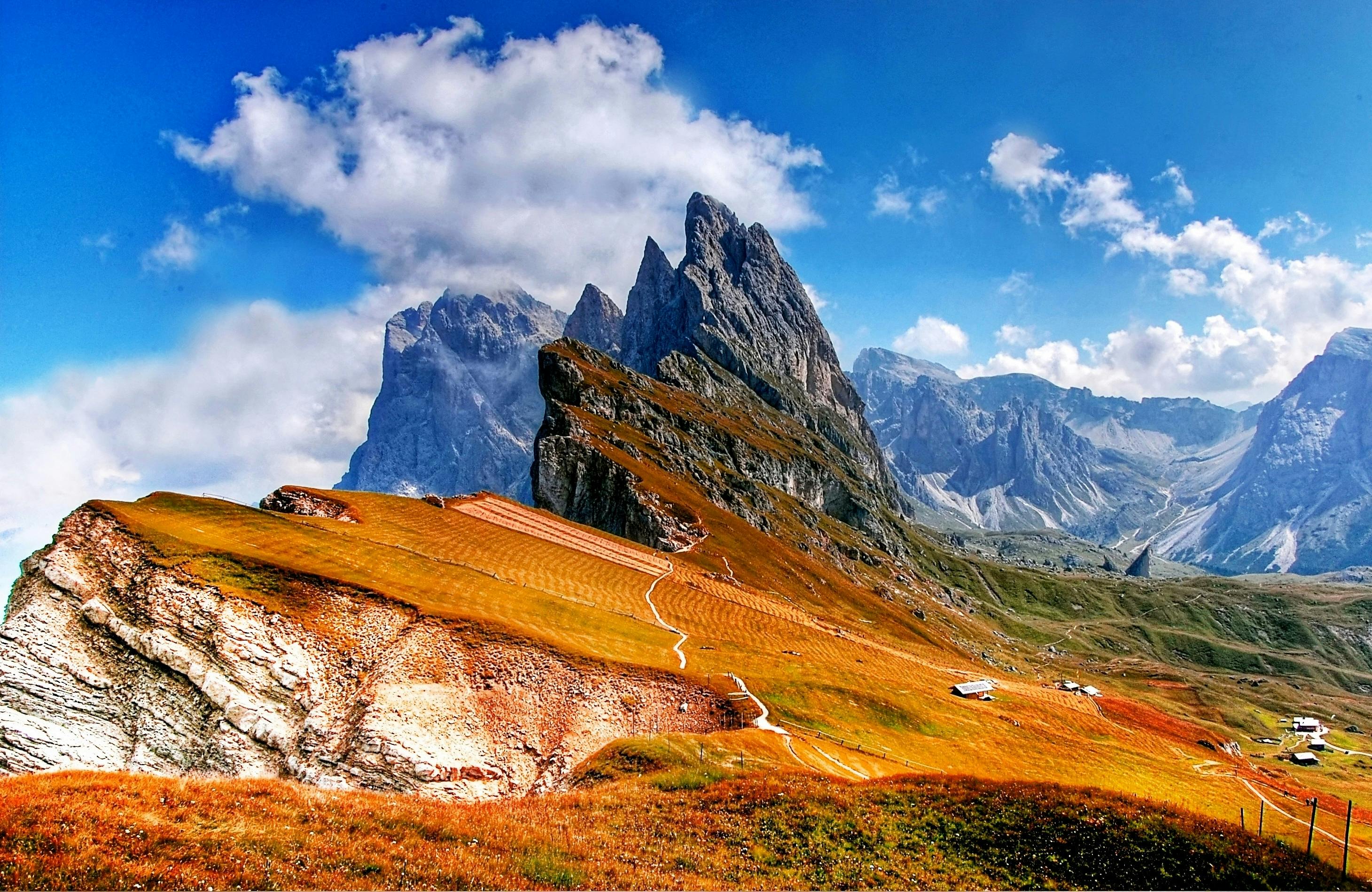 pexels-pixabay-461956.jpg