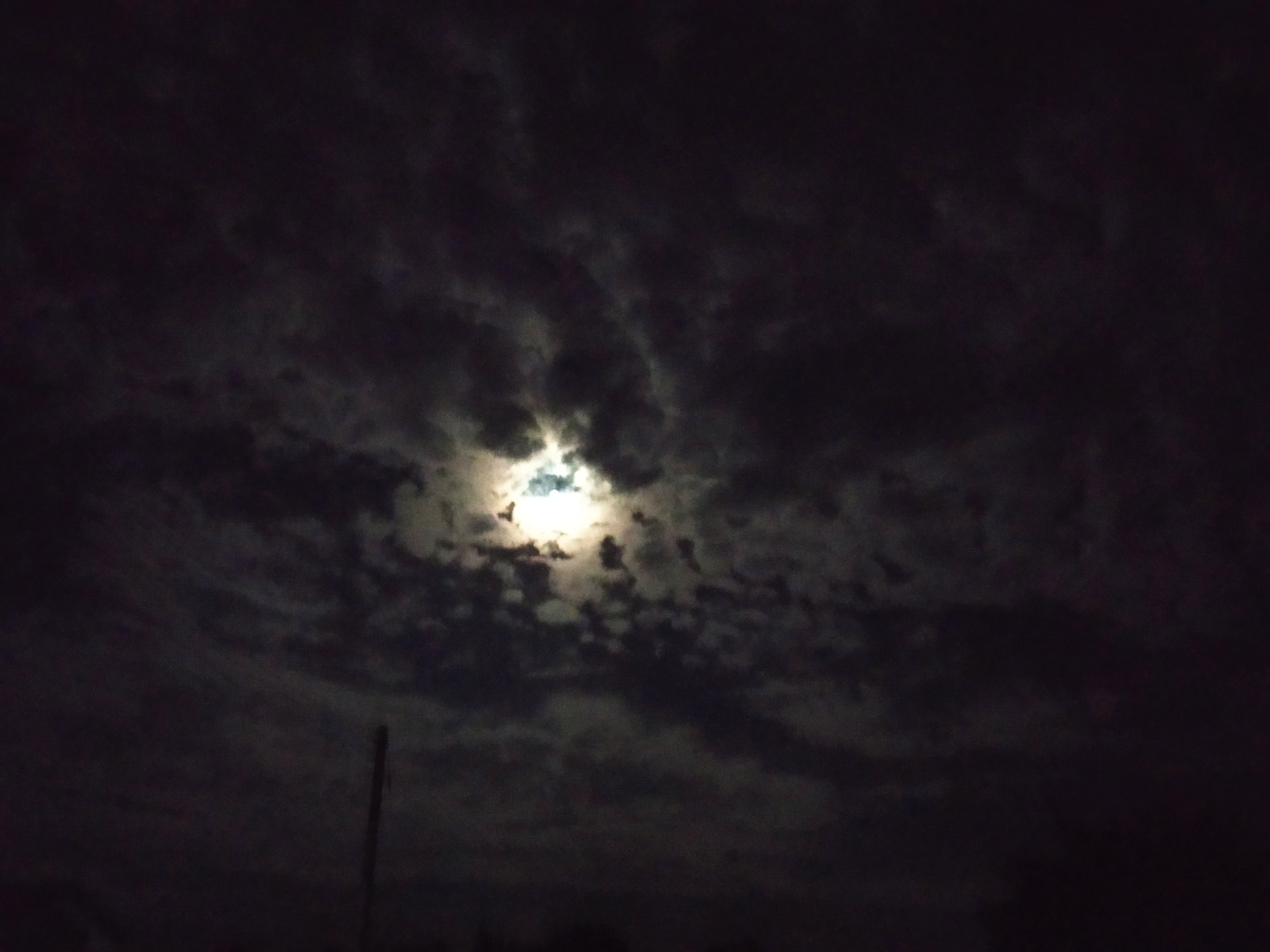 IMG_20190914_211226.jpg