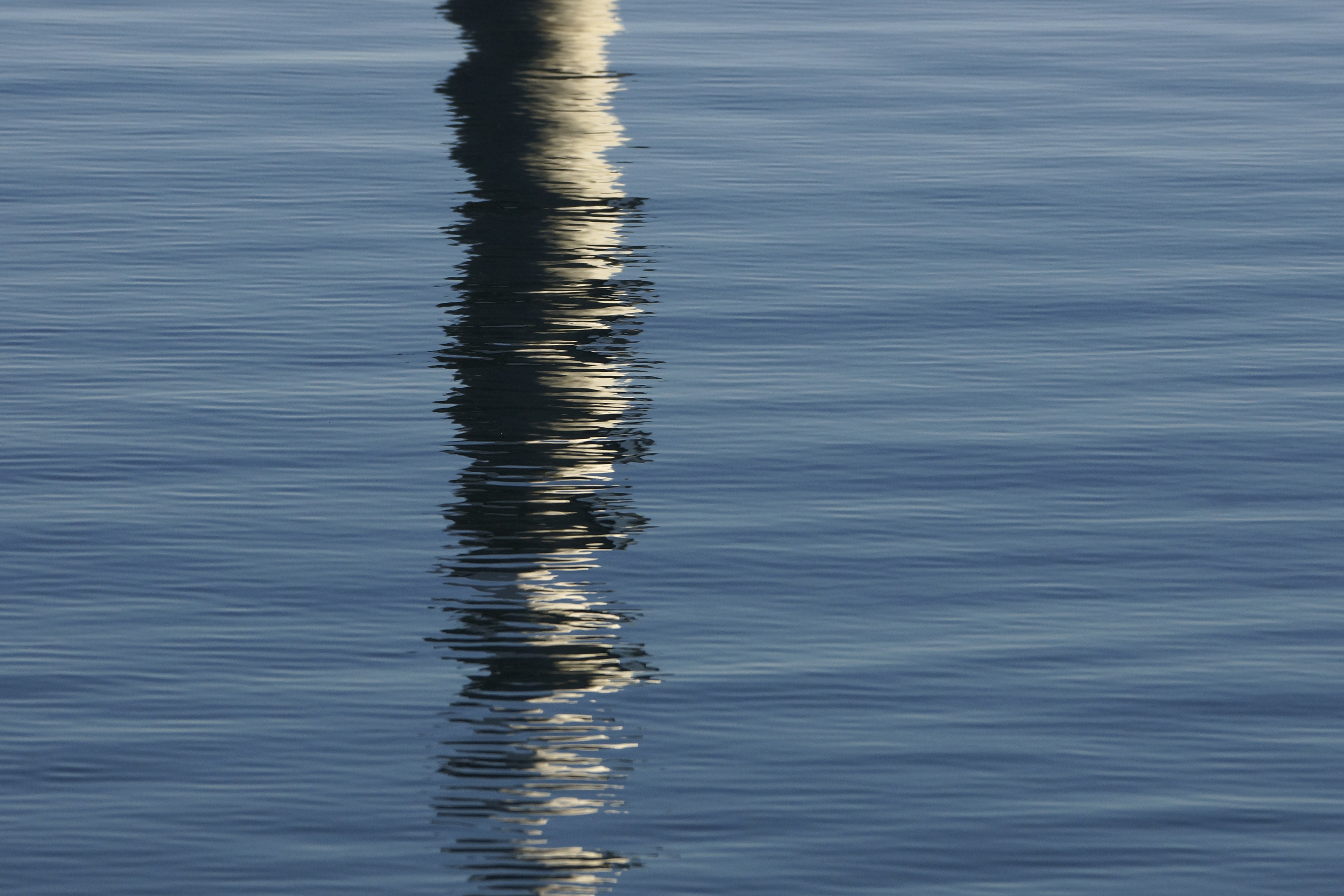 _DSC4713.JPG