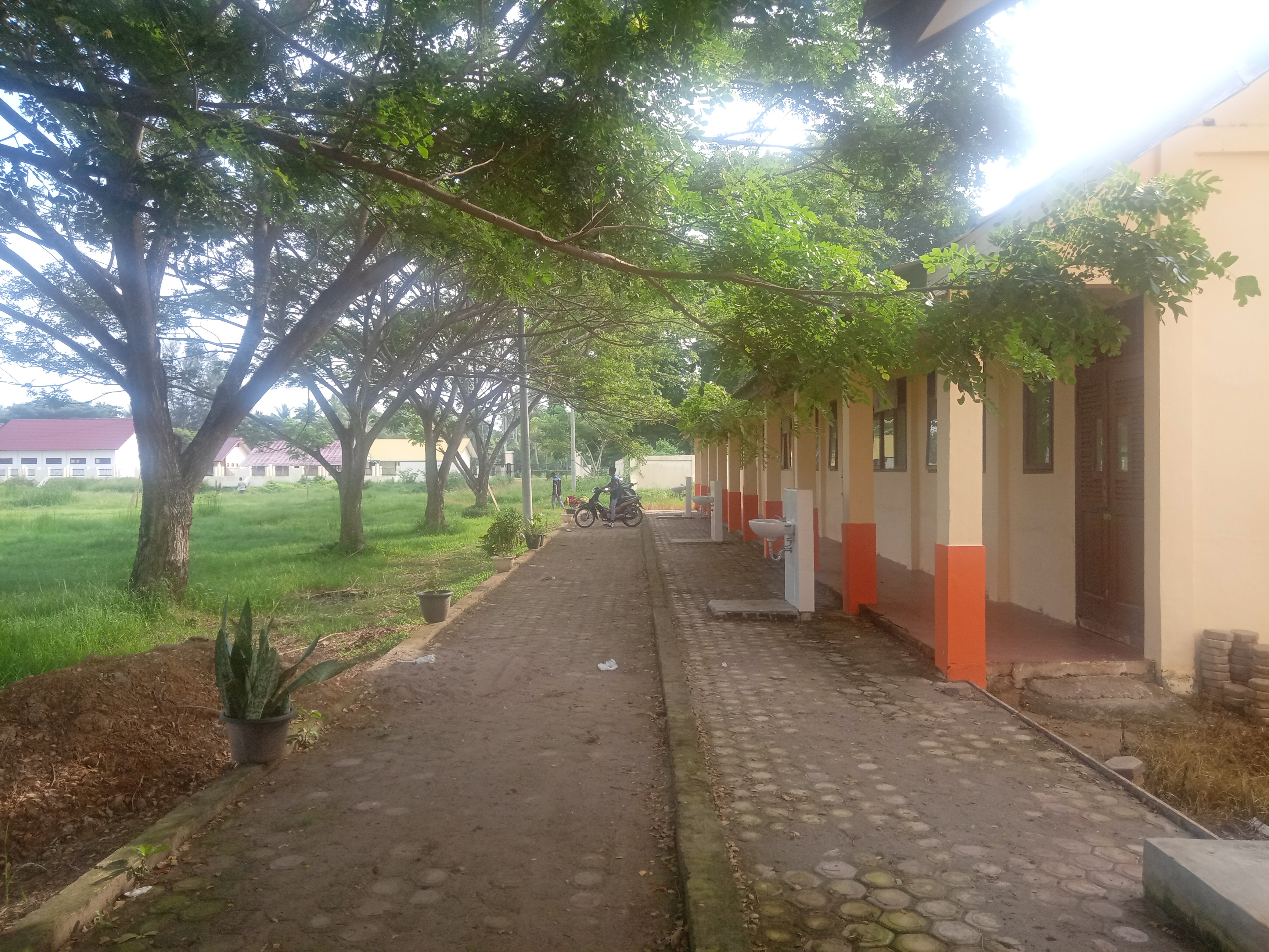 IMG20210603083036.jpg