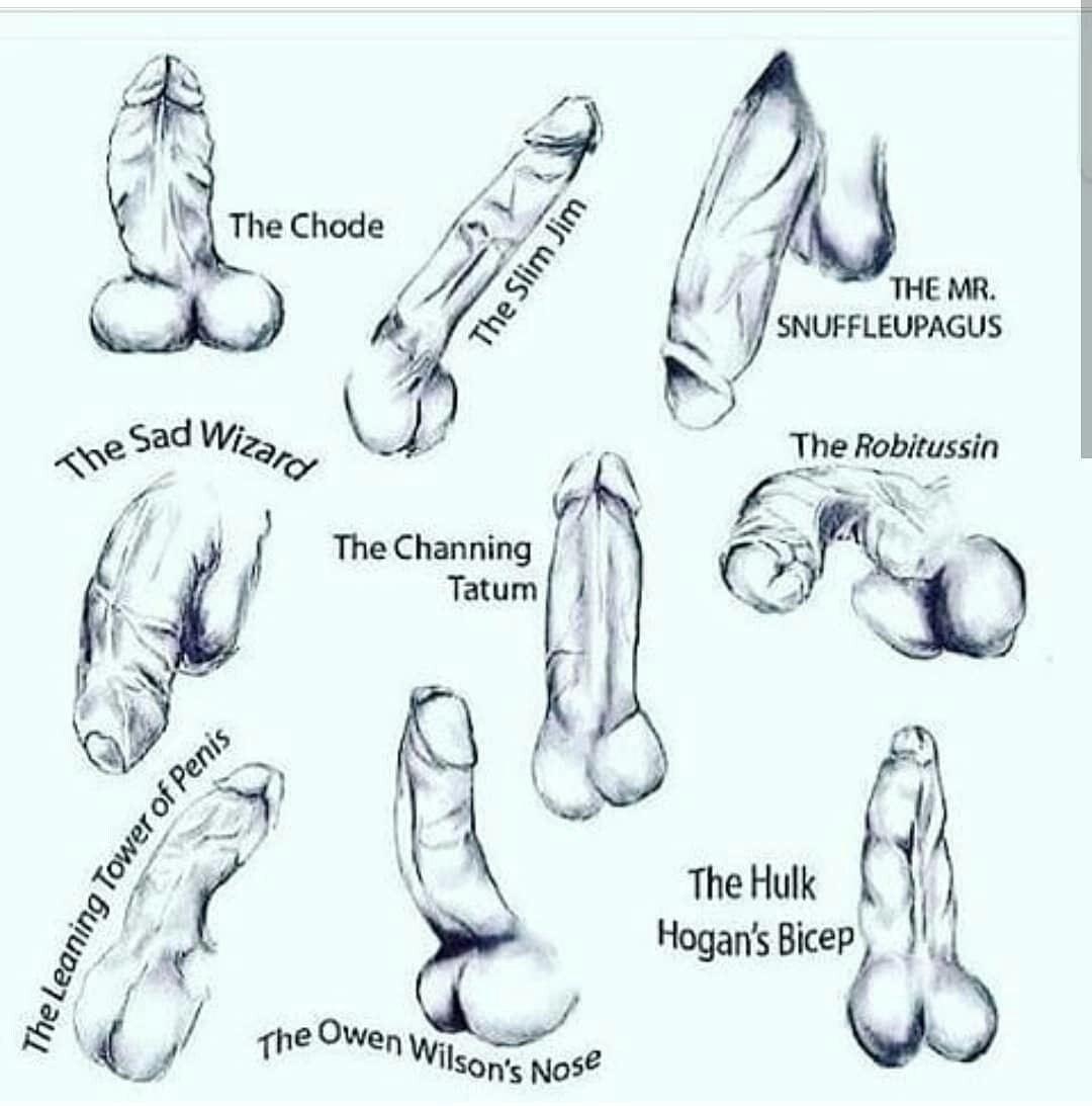 Different penis shapes