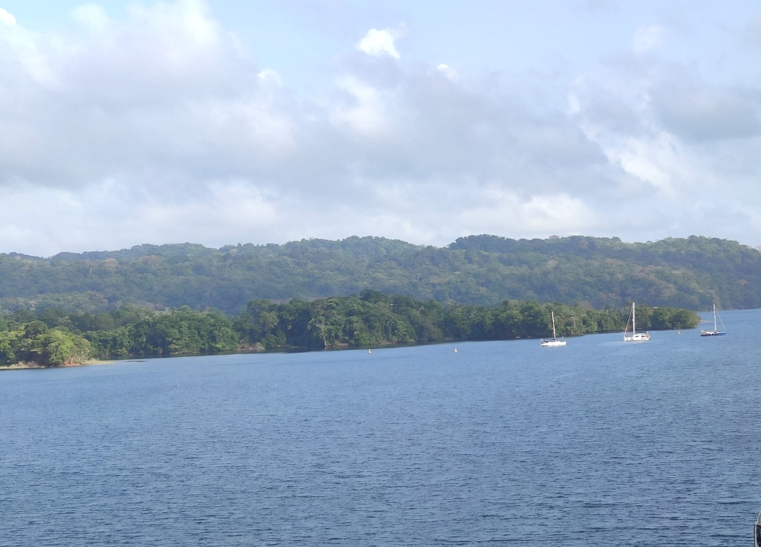 IMG_20220403_093930.jpg