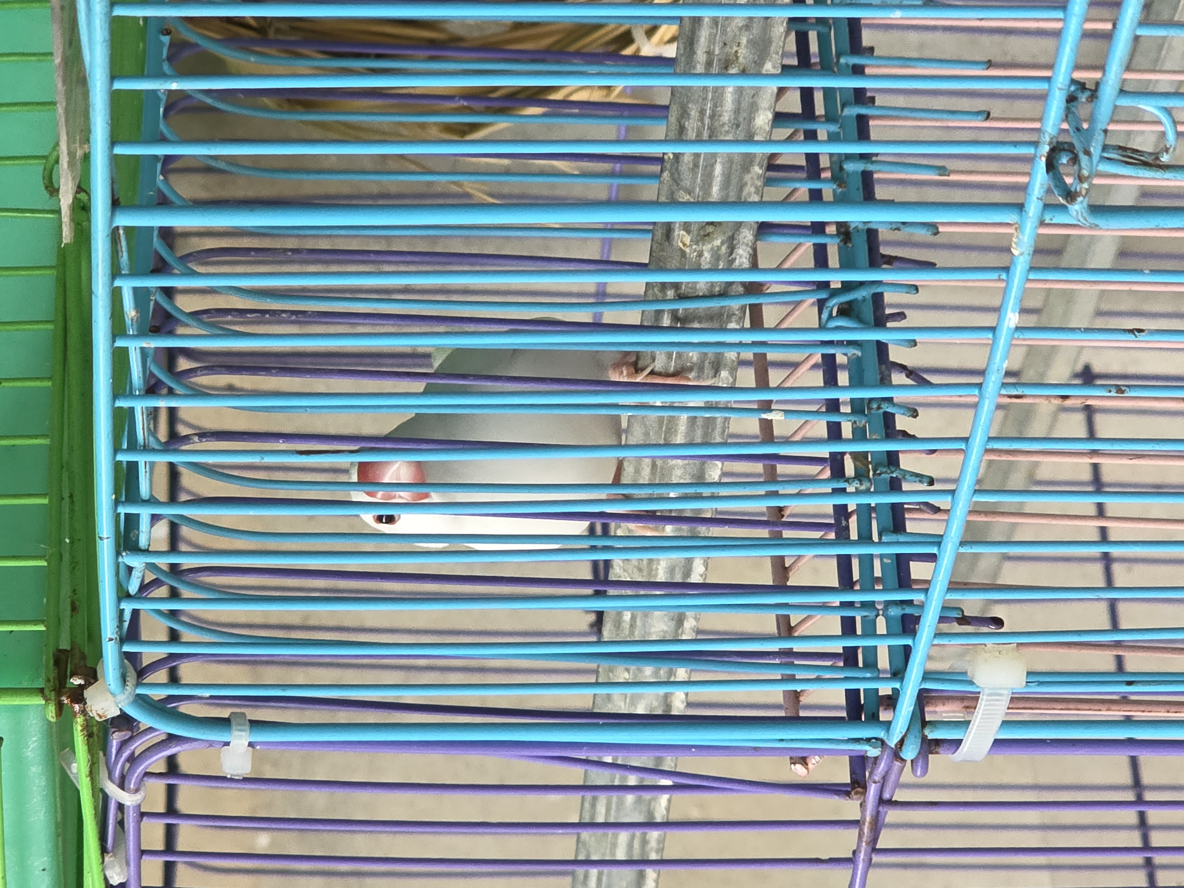 1000063598.jpg