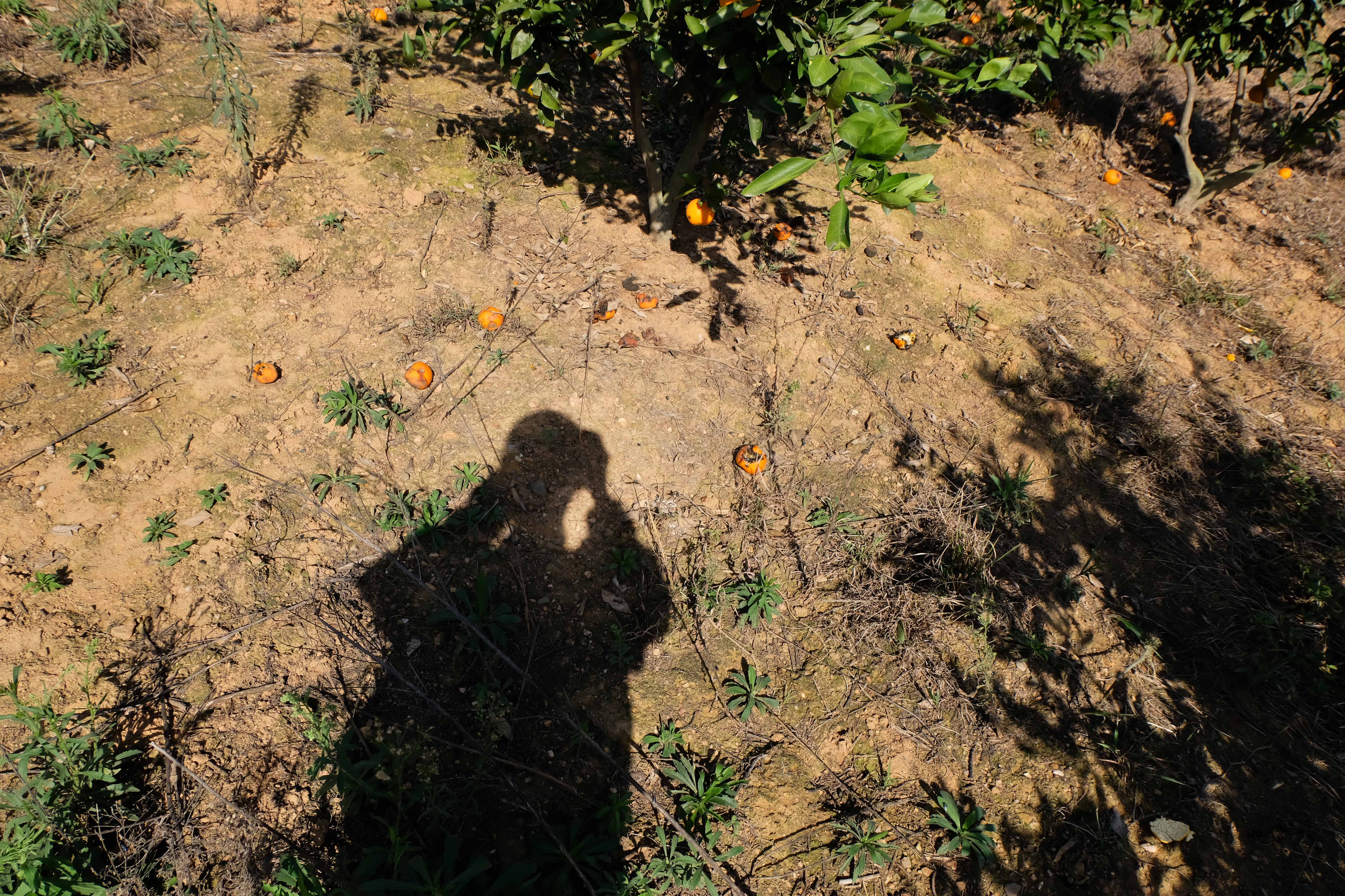 DSCF1256.jpg